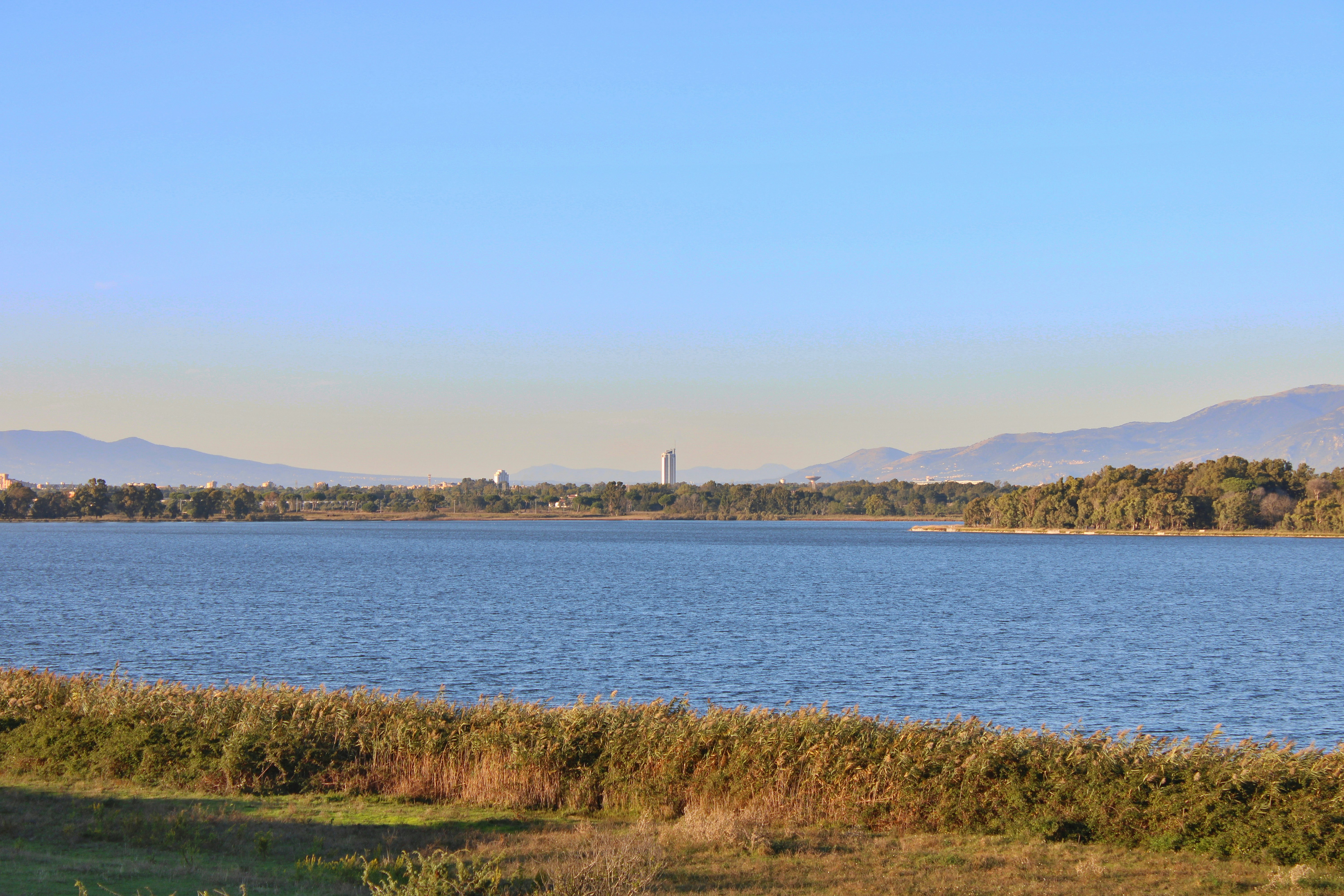 Photo by gabrieleromanoy