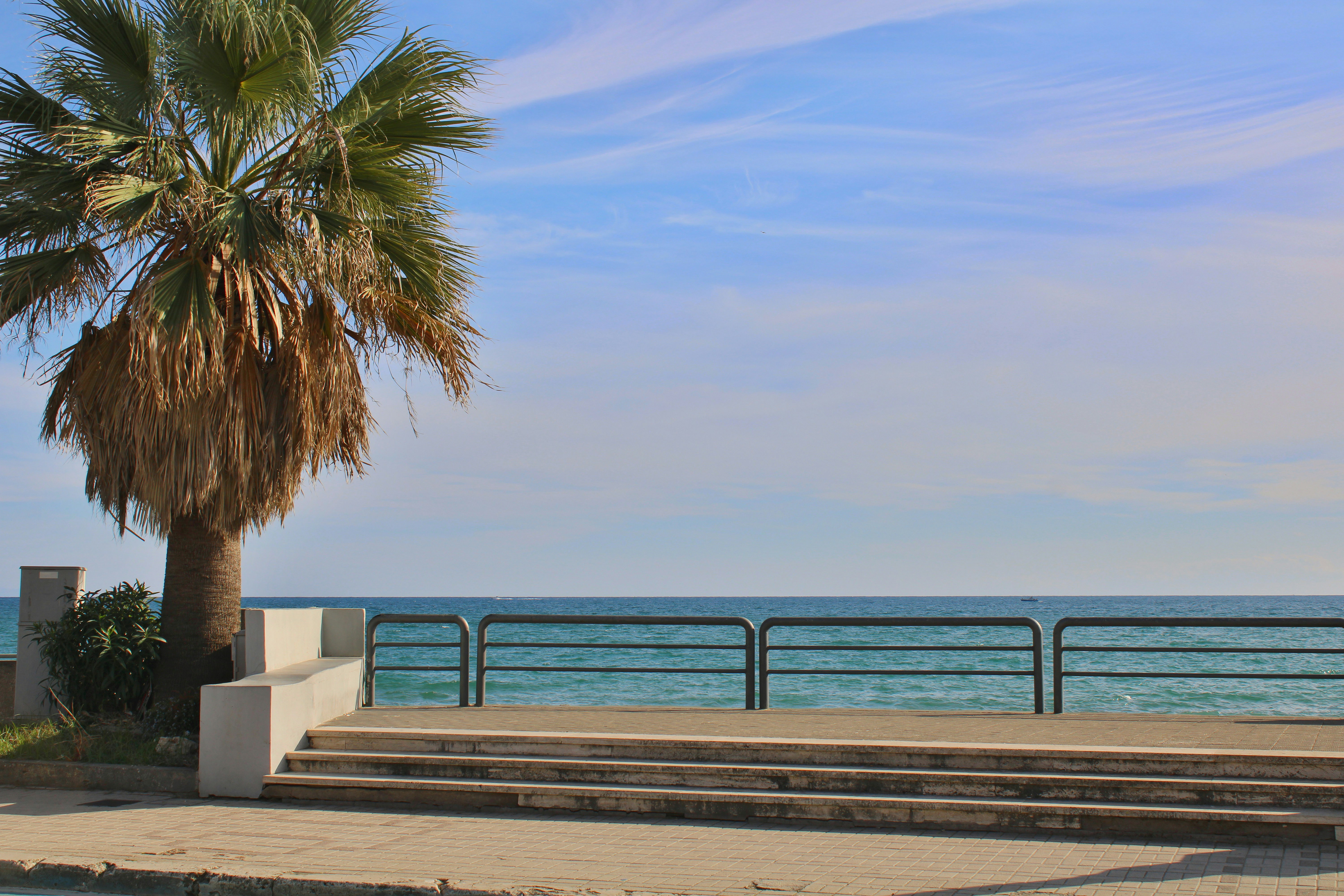 Photo by gabrieleromanoy