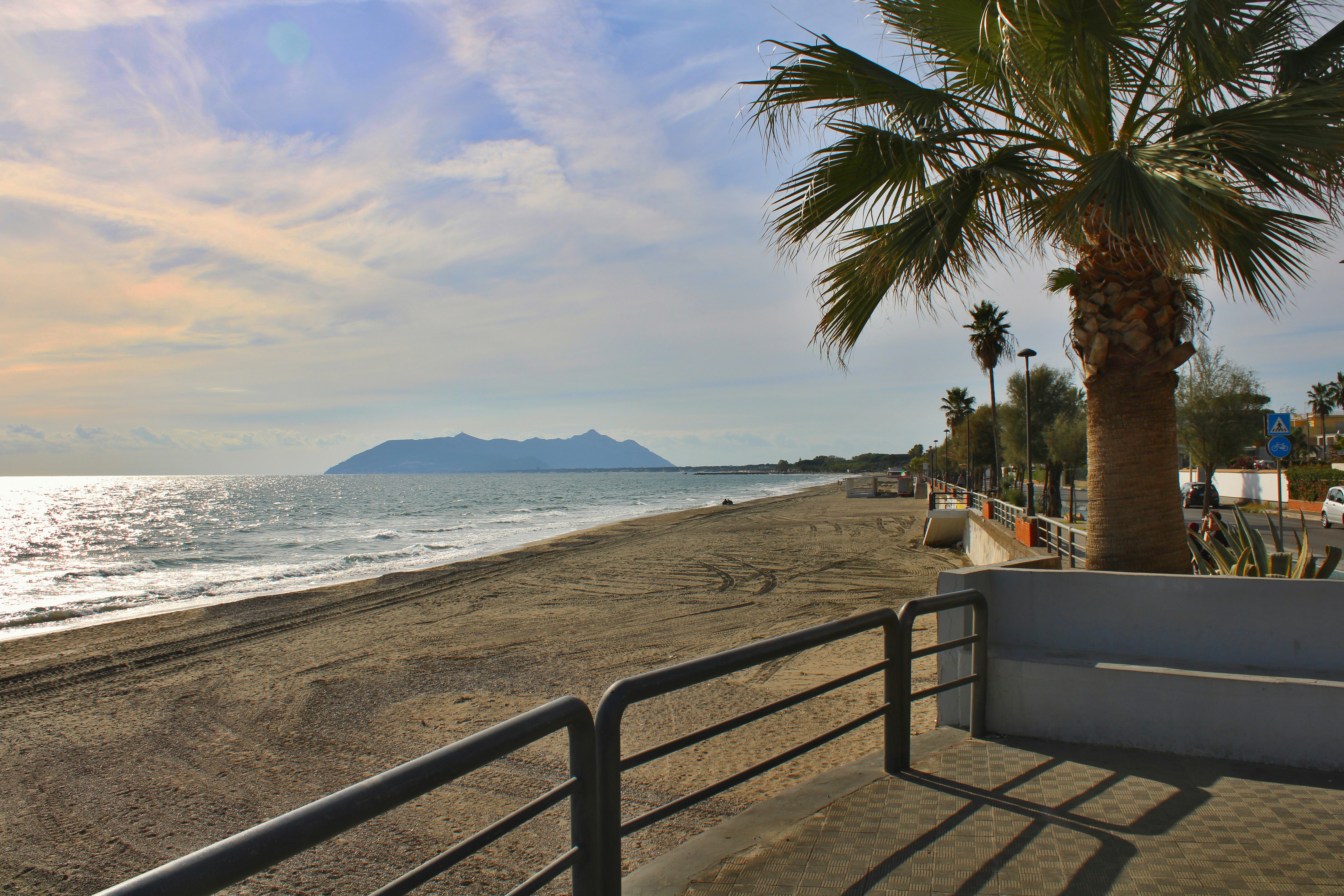 Sandy beach with palm trees and distant island.
