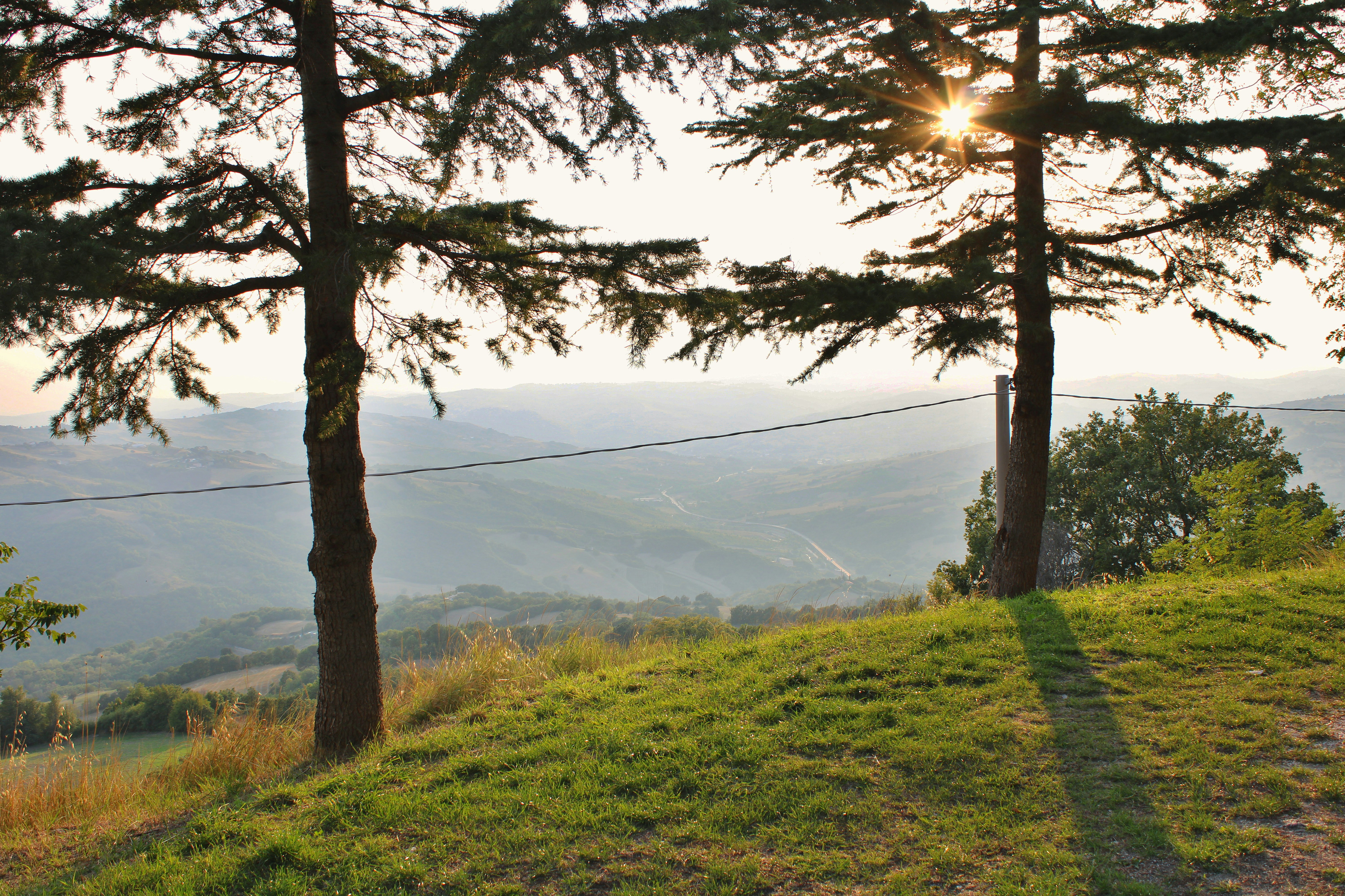 Photo by gabrieleromanoy