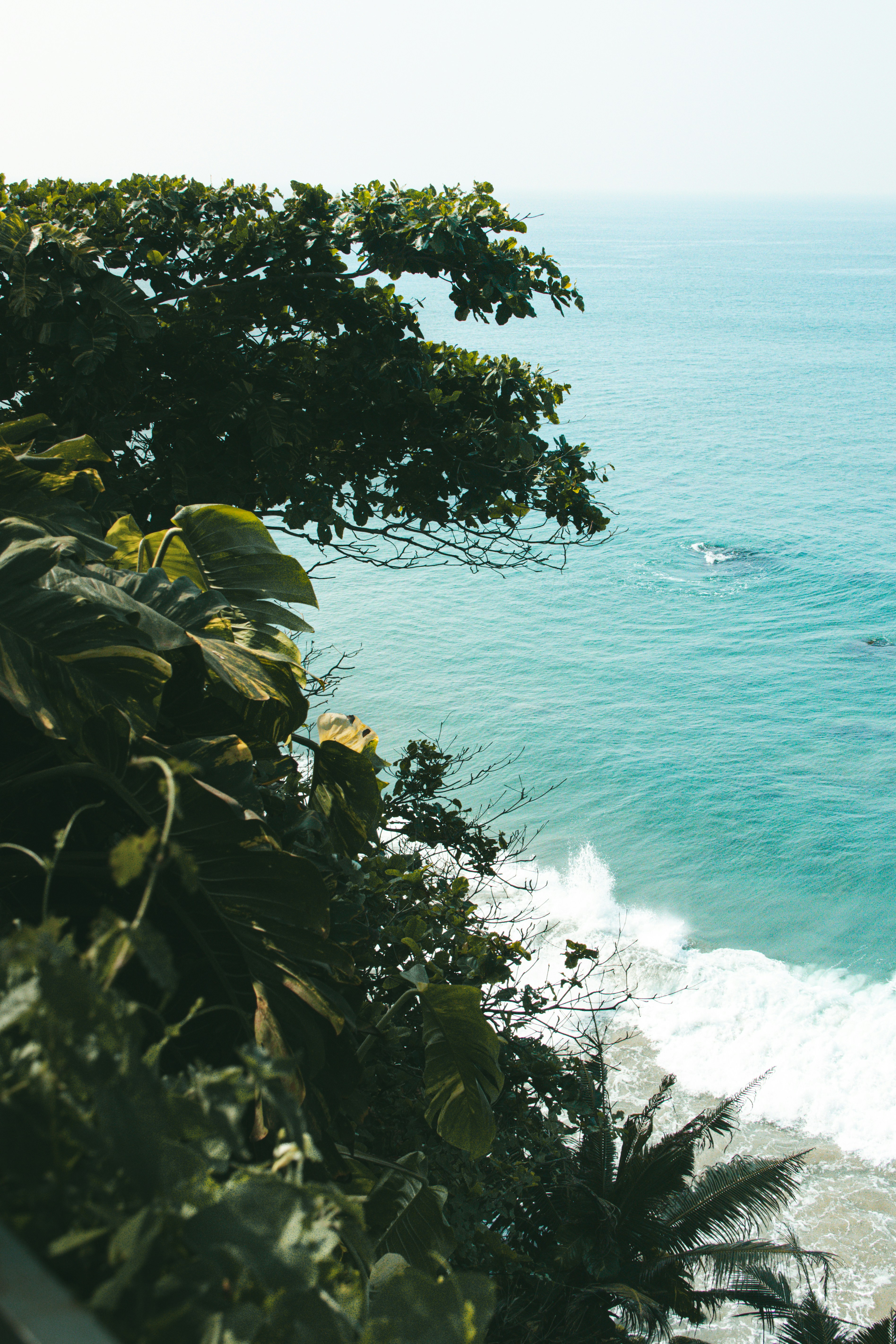 Photo by sameer_srivastava