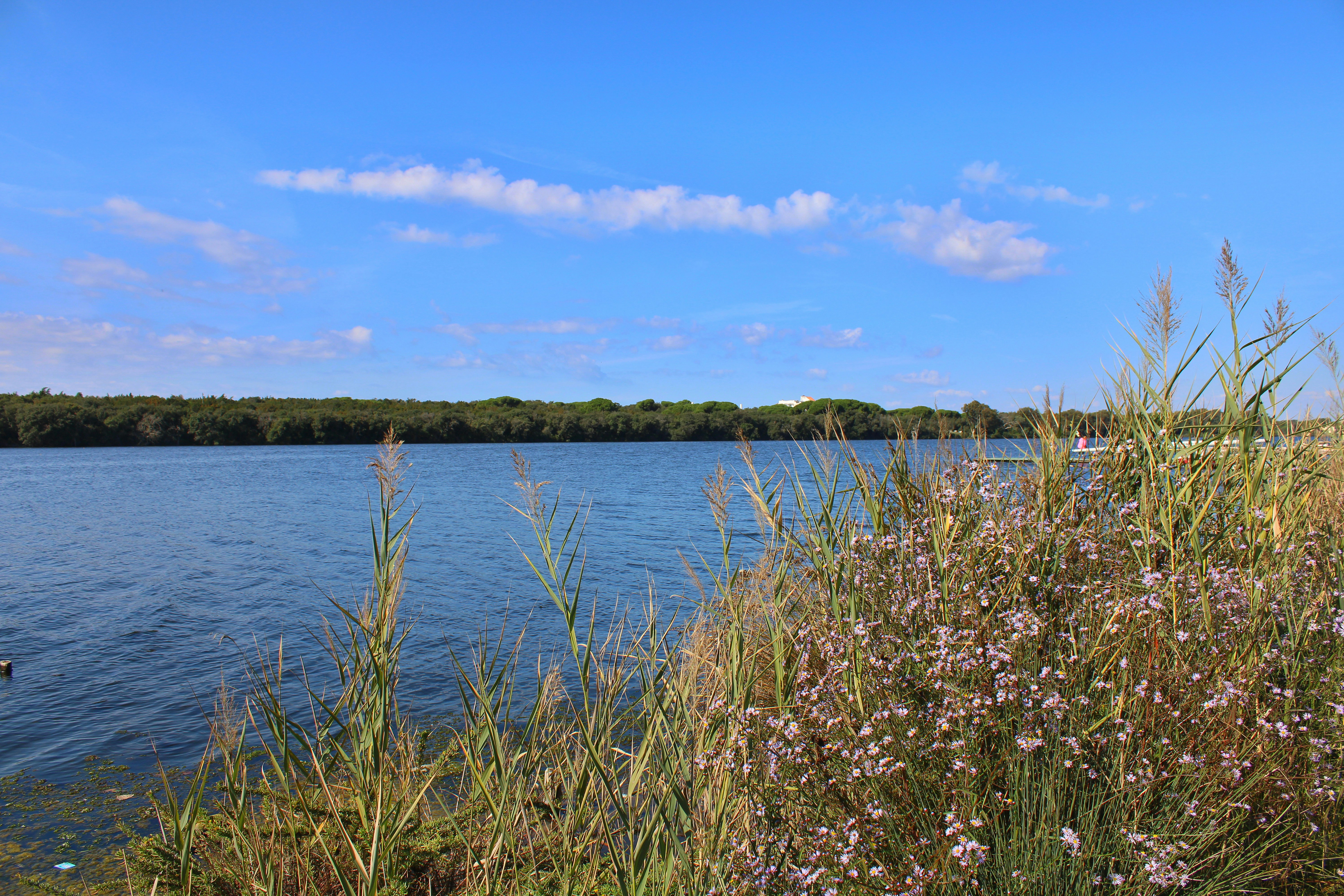 Photo by gabrieleromanoy