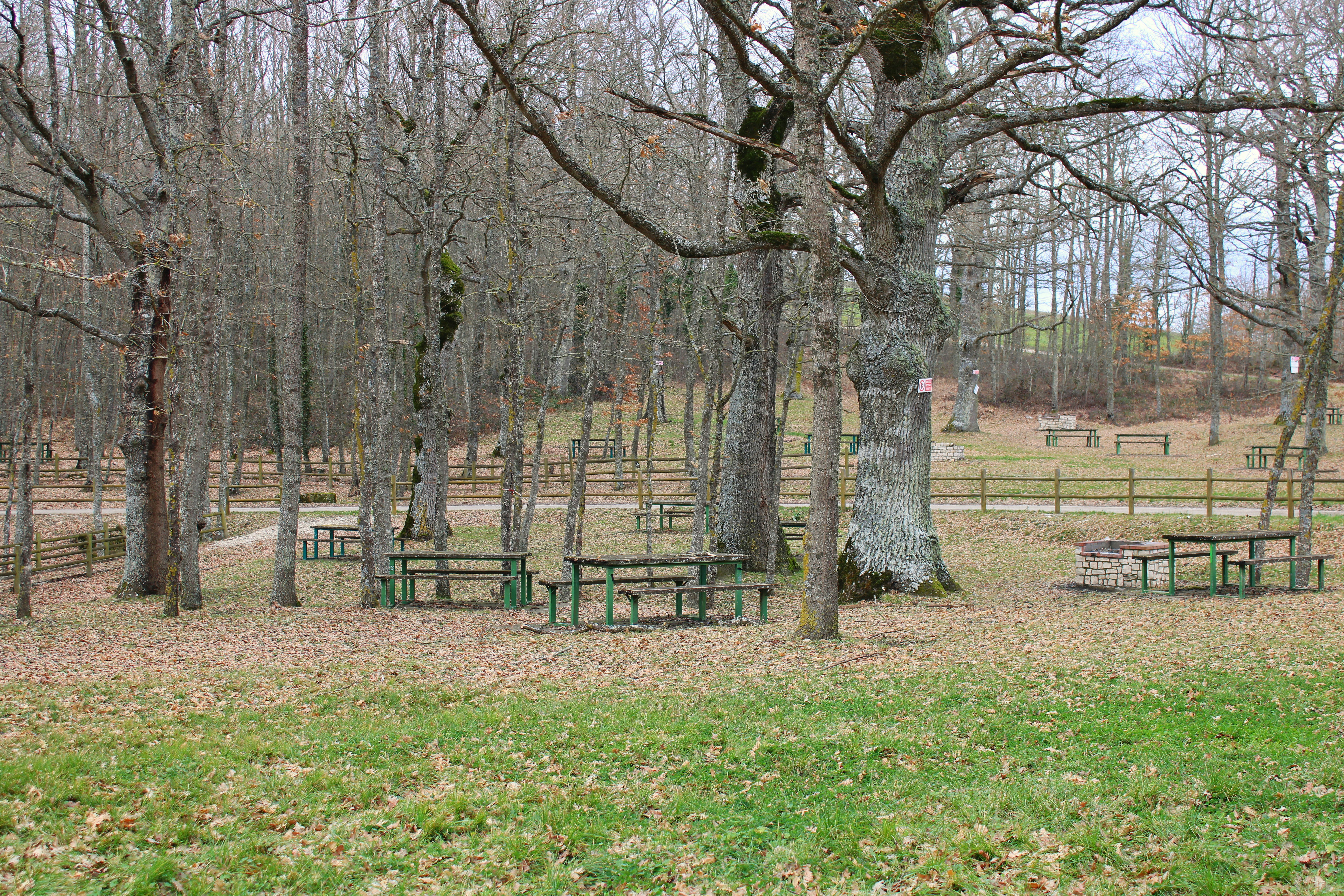 Pine Hollow Picnic Area