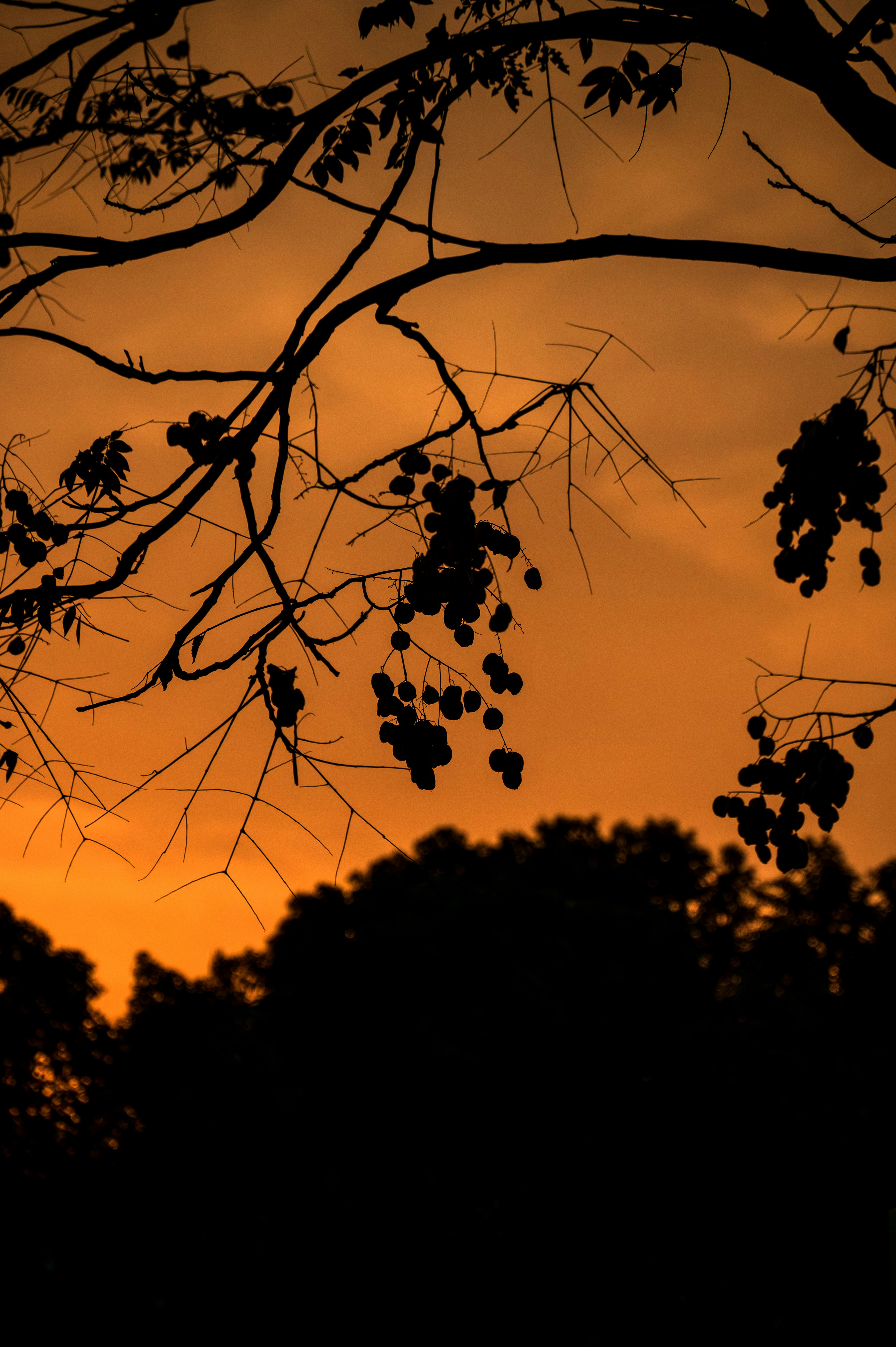 Photo by excellentcx