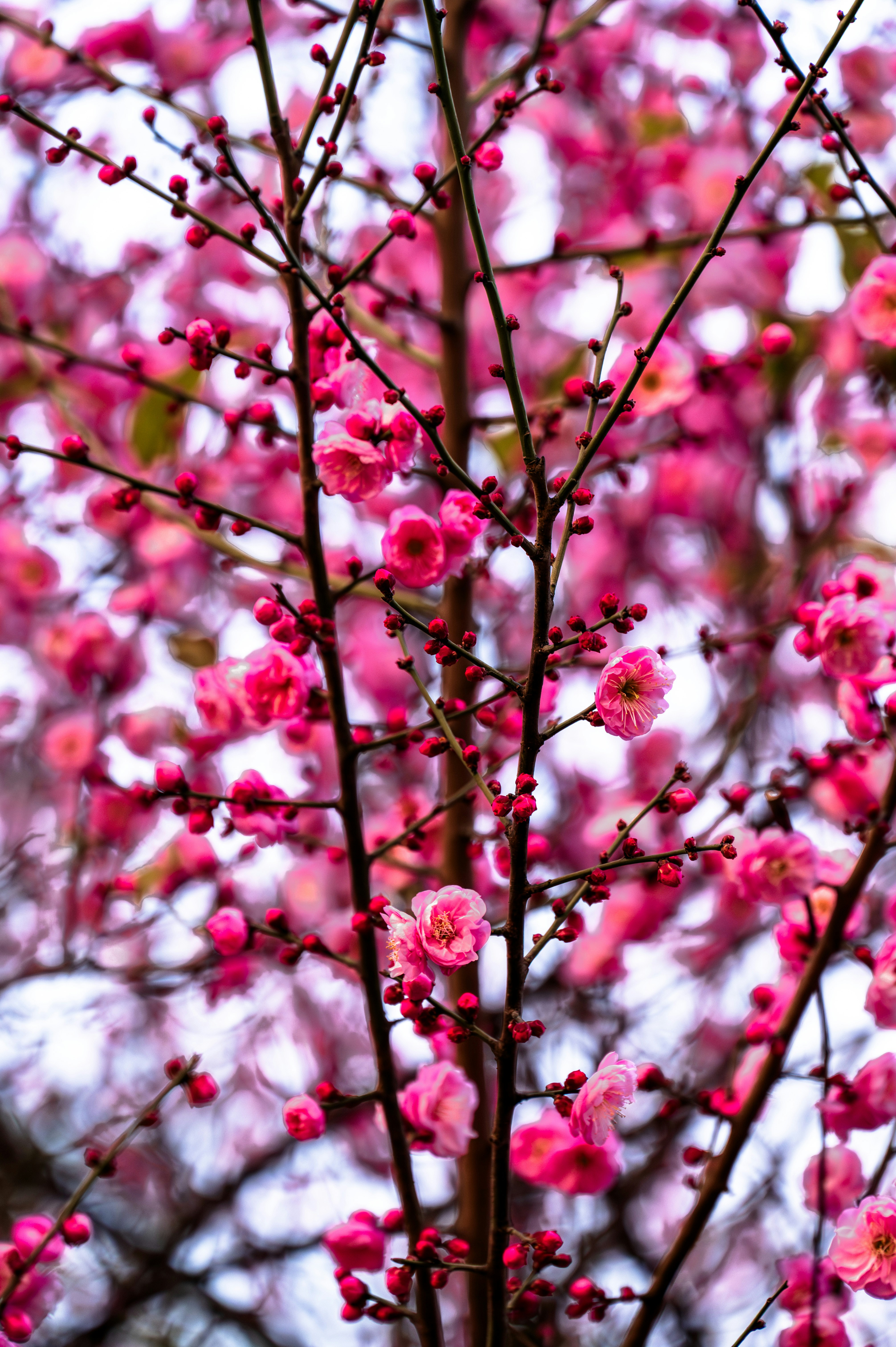 Photo by excellentcx