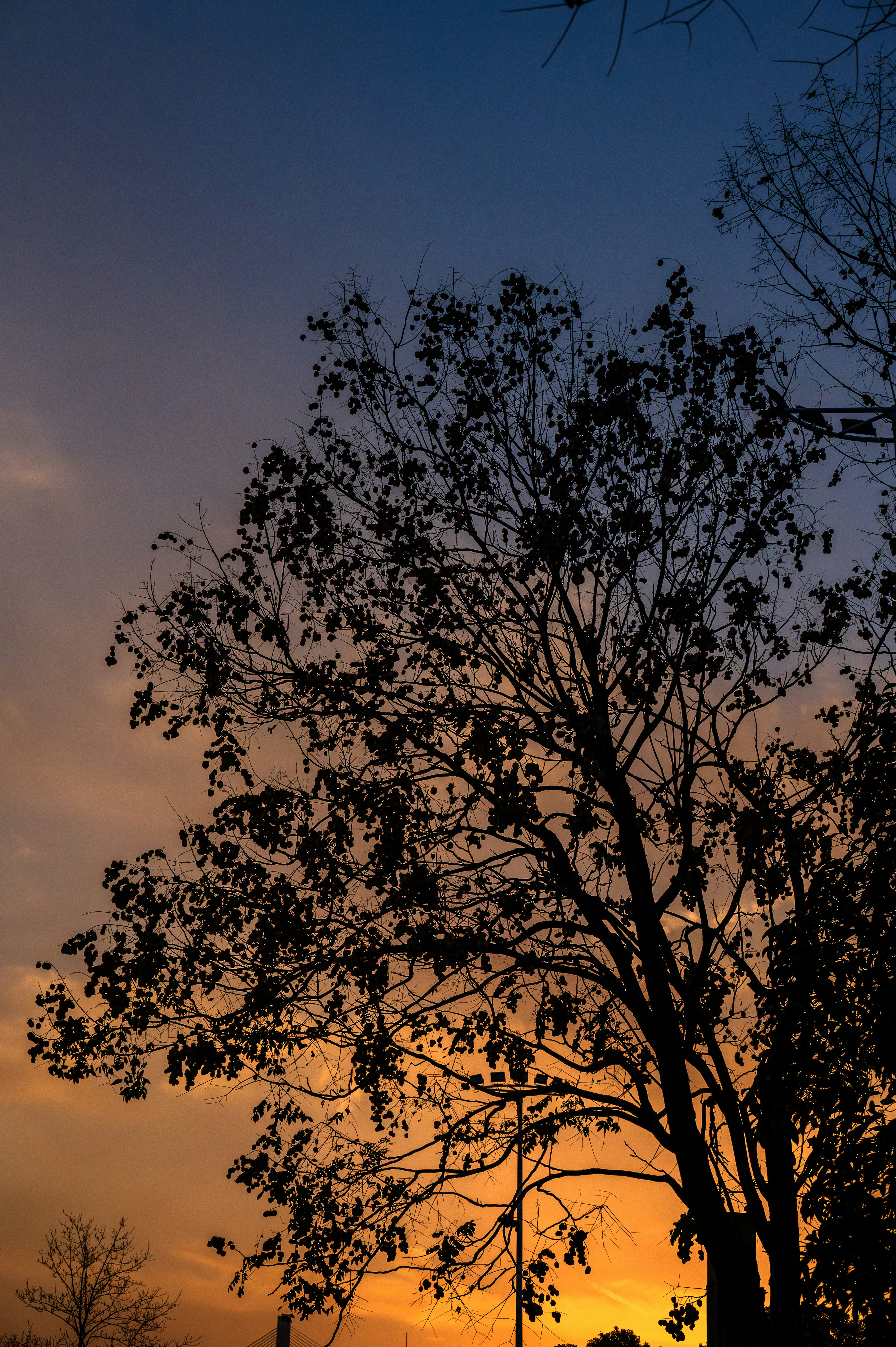 Photo by excellentcx