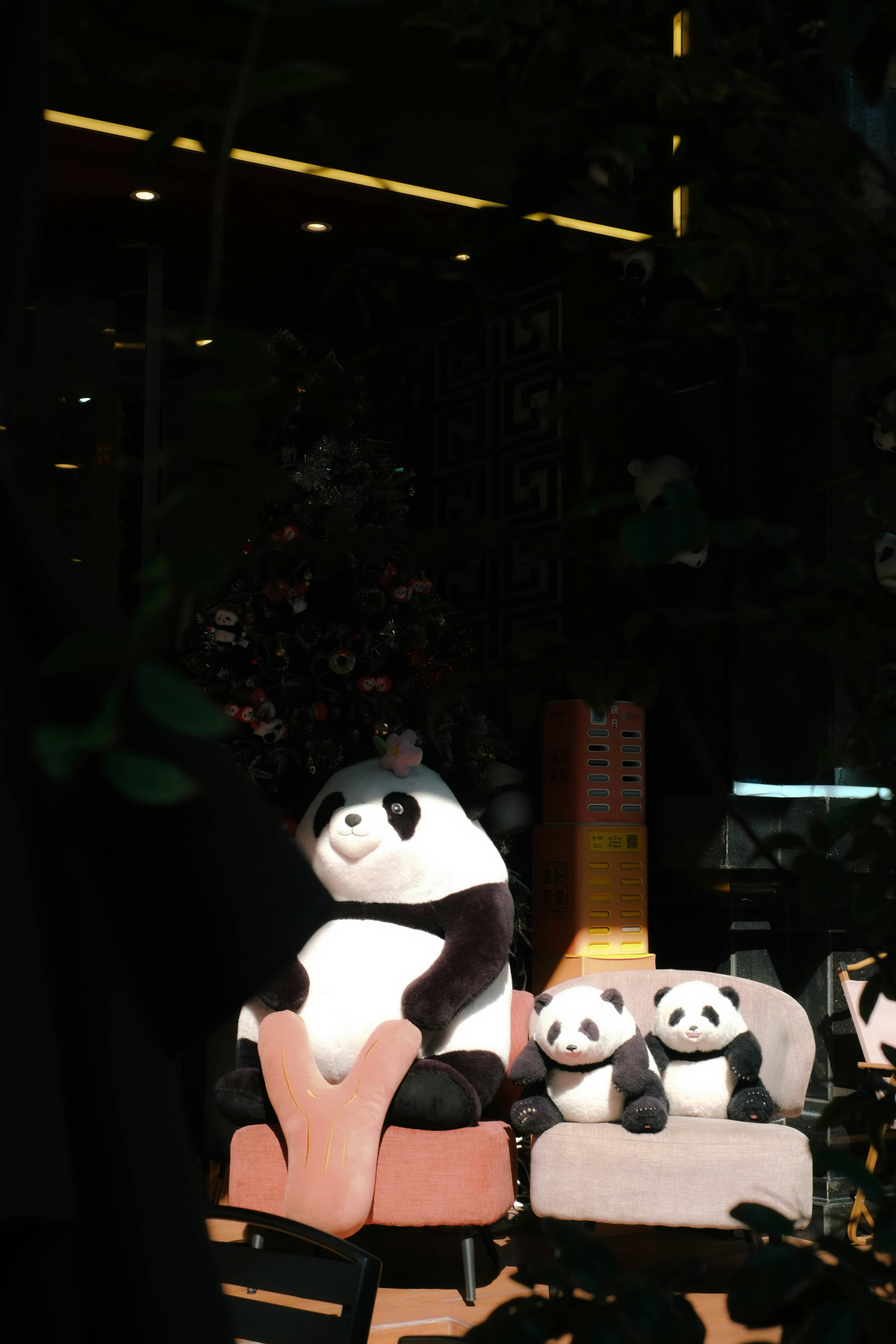 Three stuffed pandas sit on chairs in a dark room.