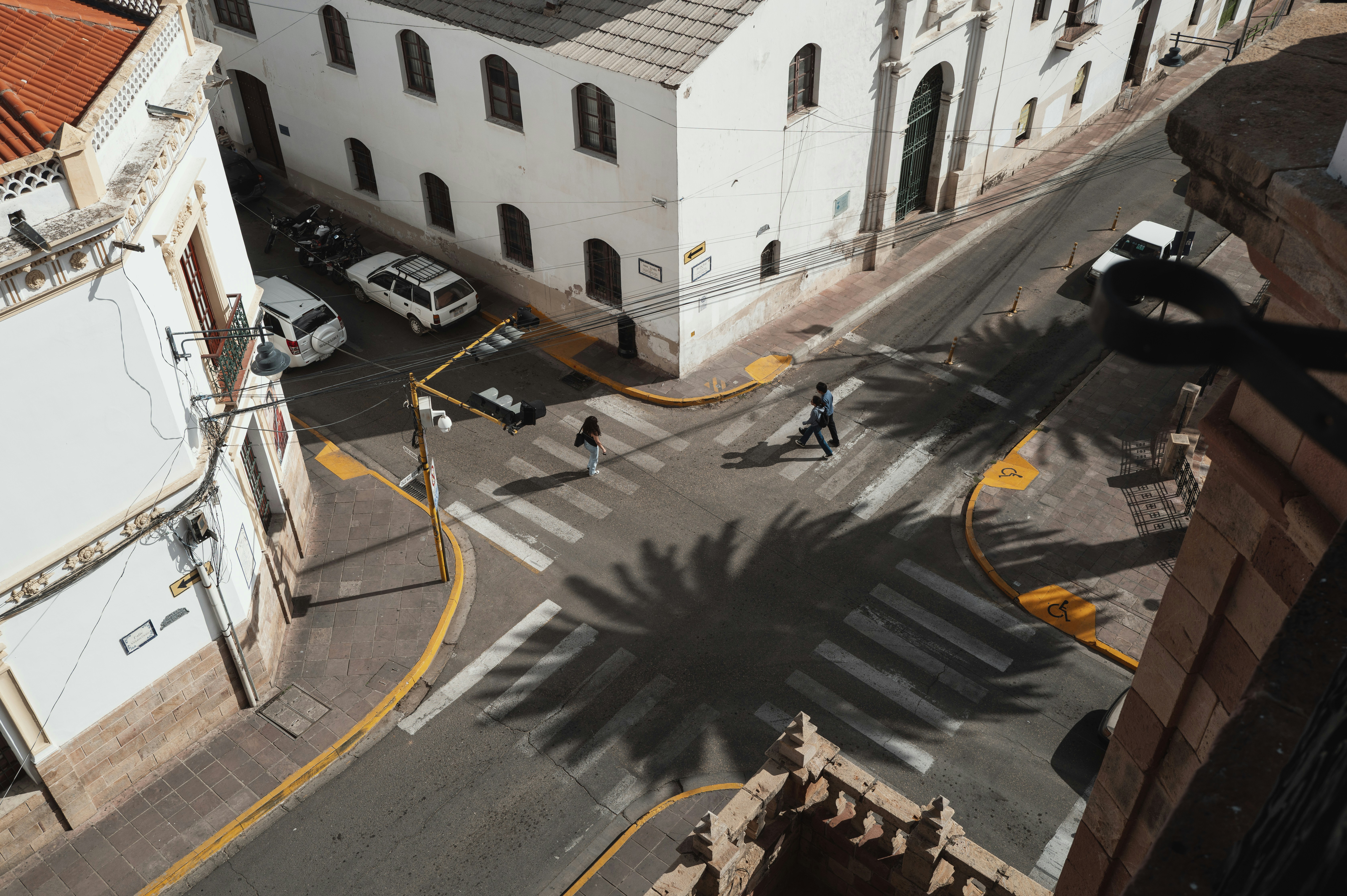 People crossing street at intersection with palm tree shadow.