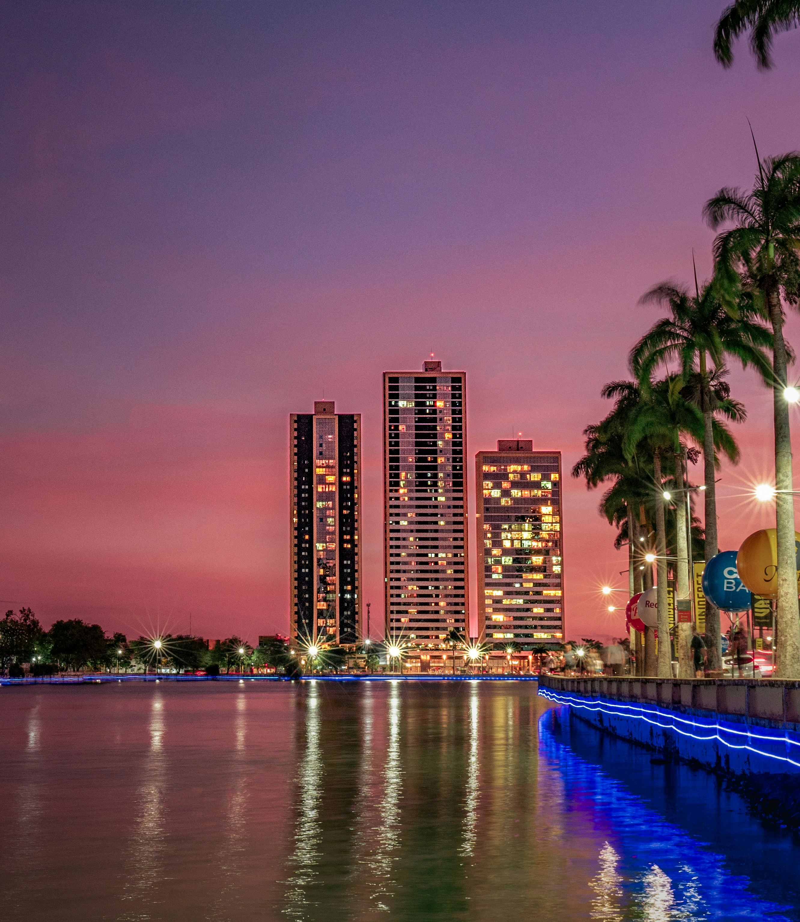 City skyline with palm trees at twilight