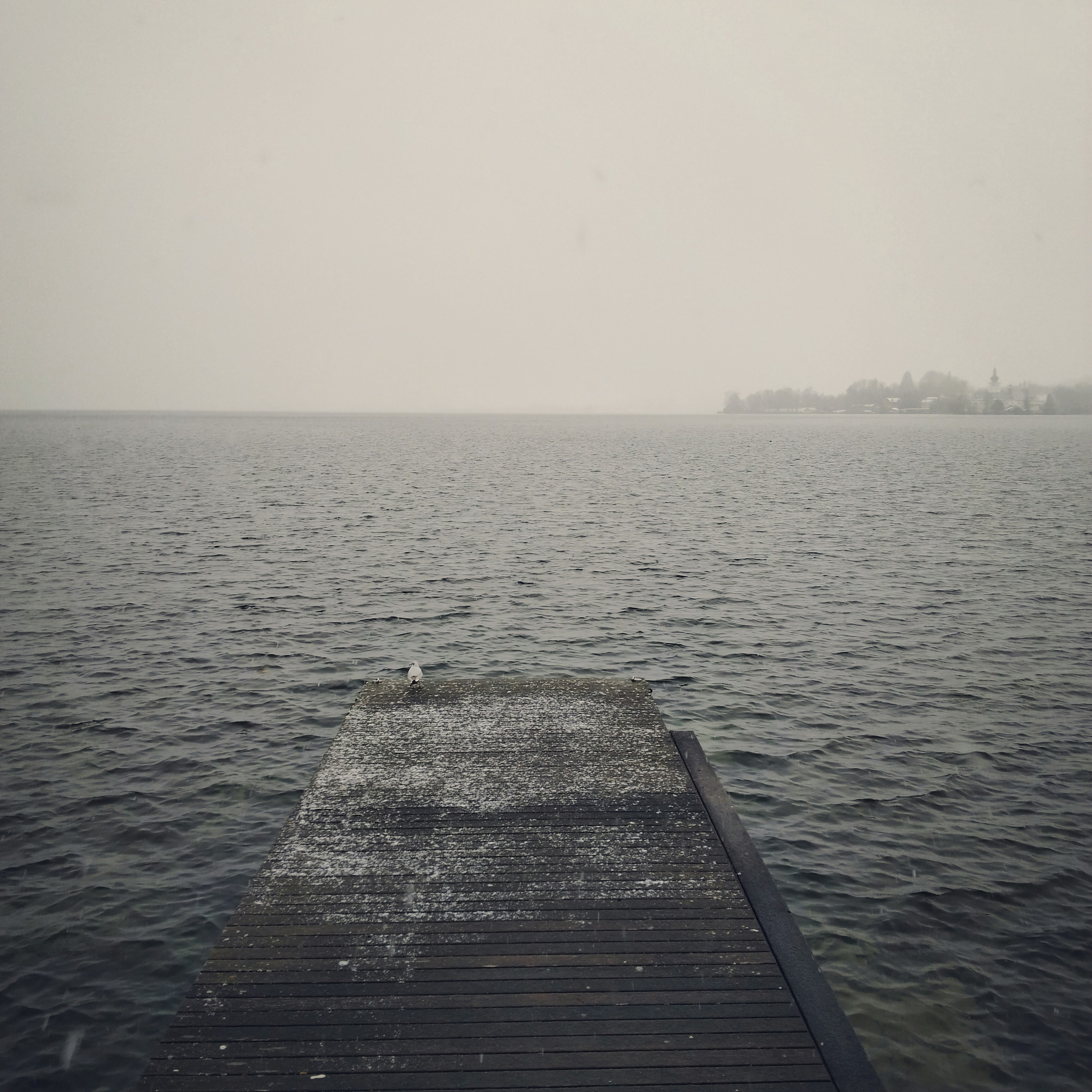 Photo by diamond0624