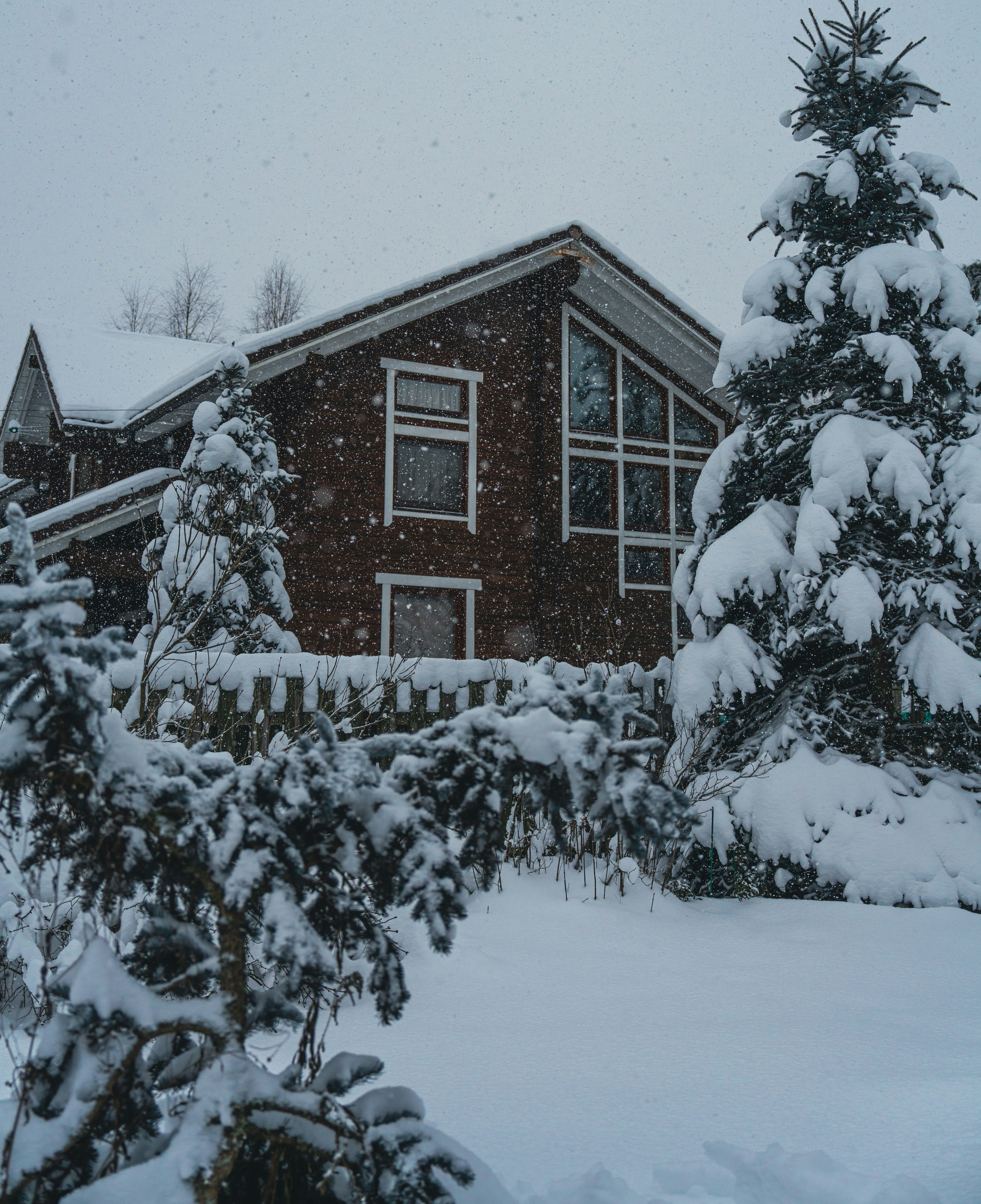 A wooden house surrounded by snow-covered trees.
