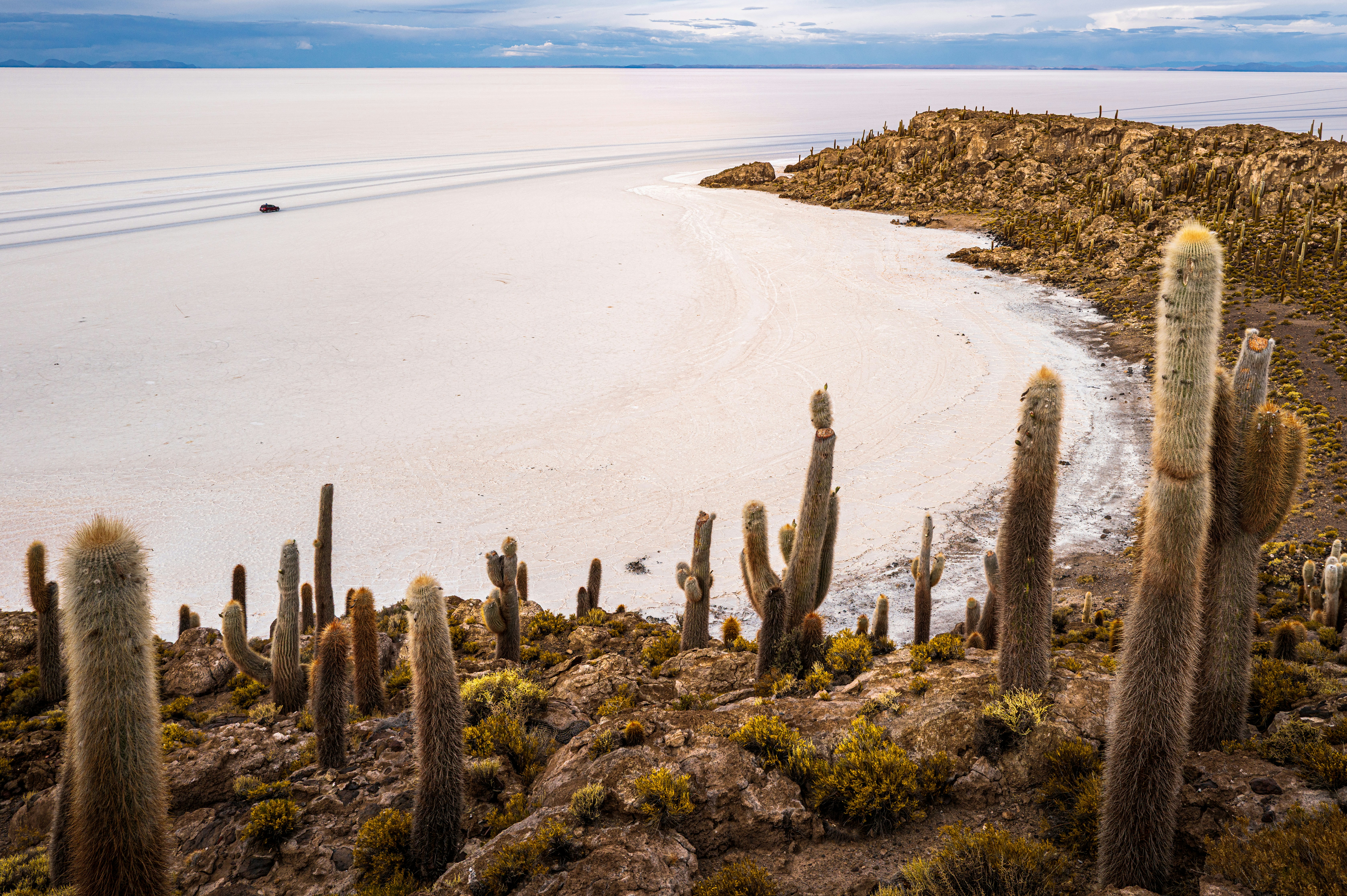 Cactus plants on rocky ground overlooking a vast salt flat.