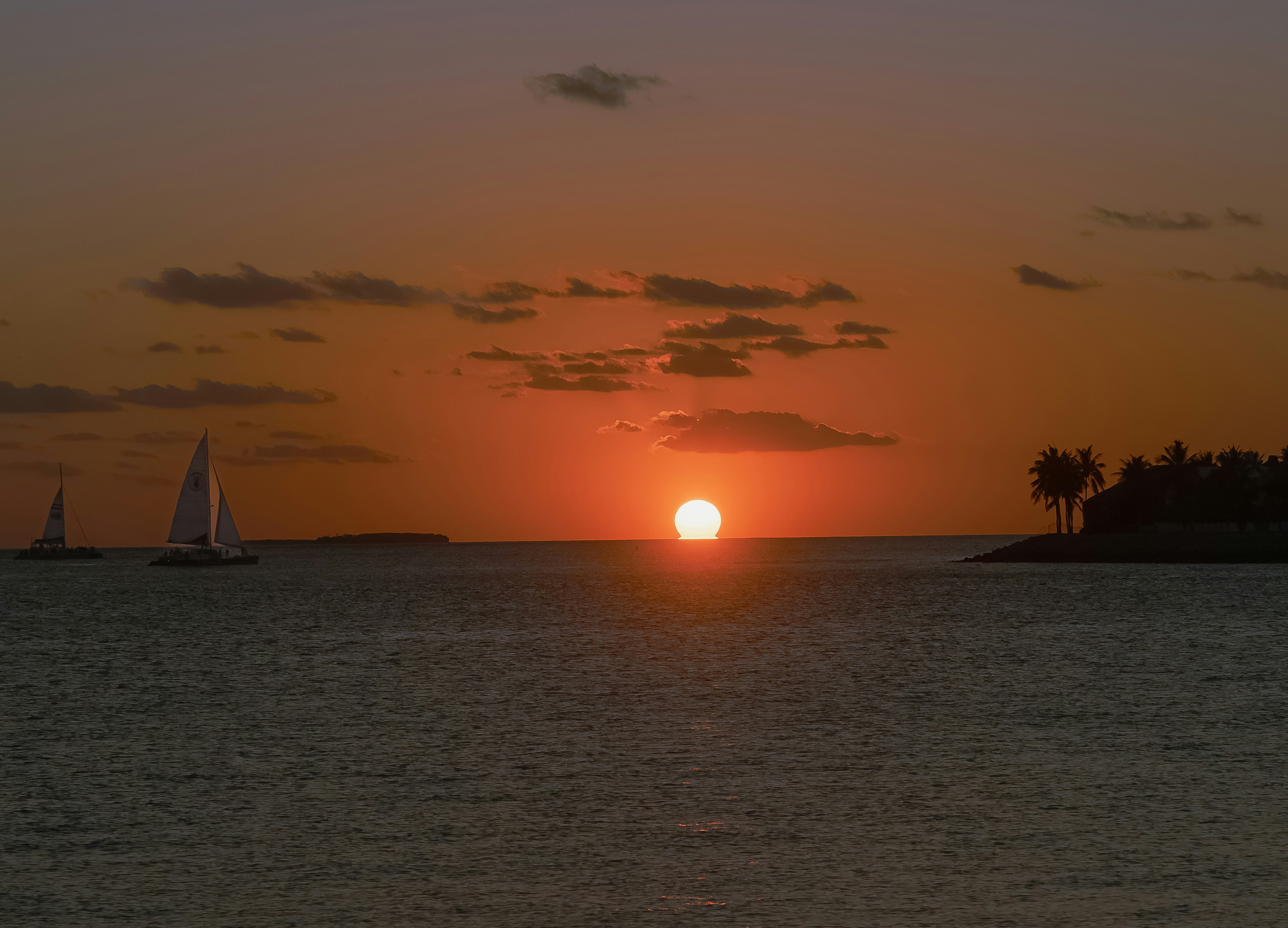 Sailboats on the ocean at sunset