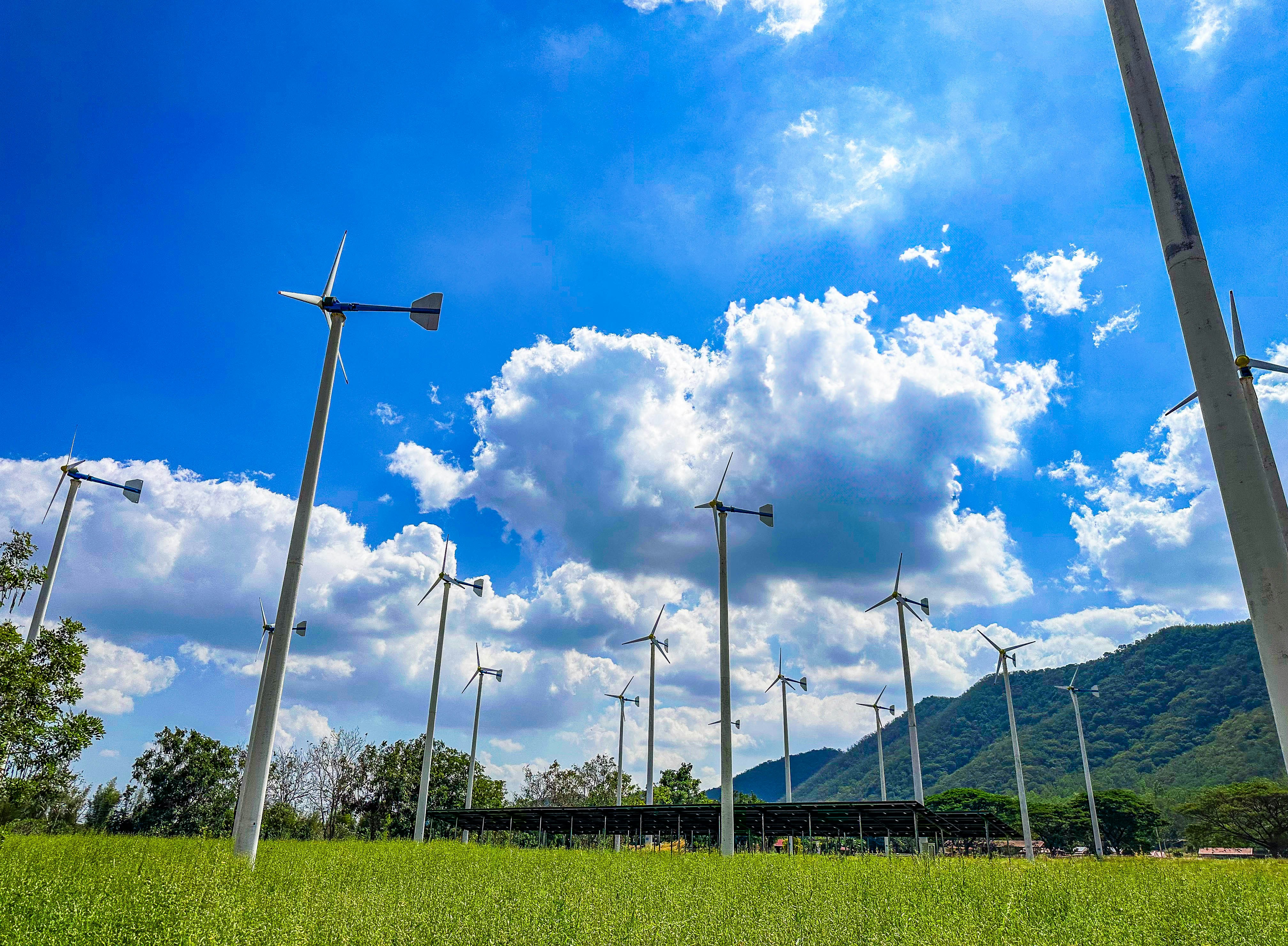 Wind turbines stand tall under a bright blue sky.