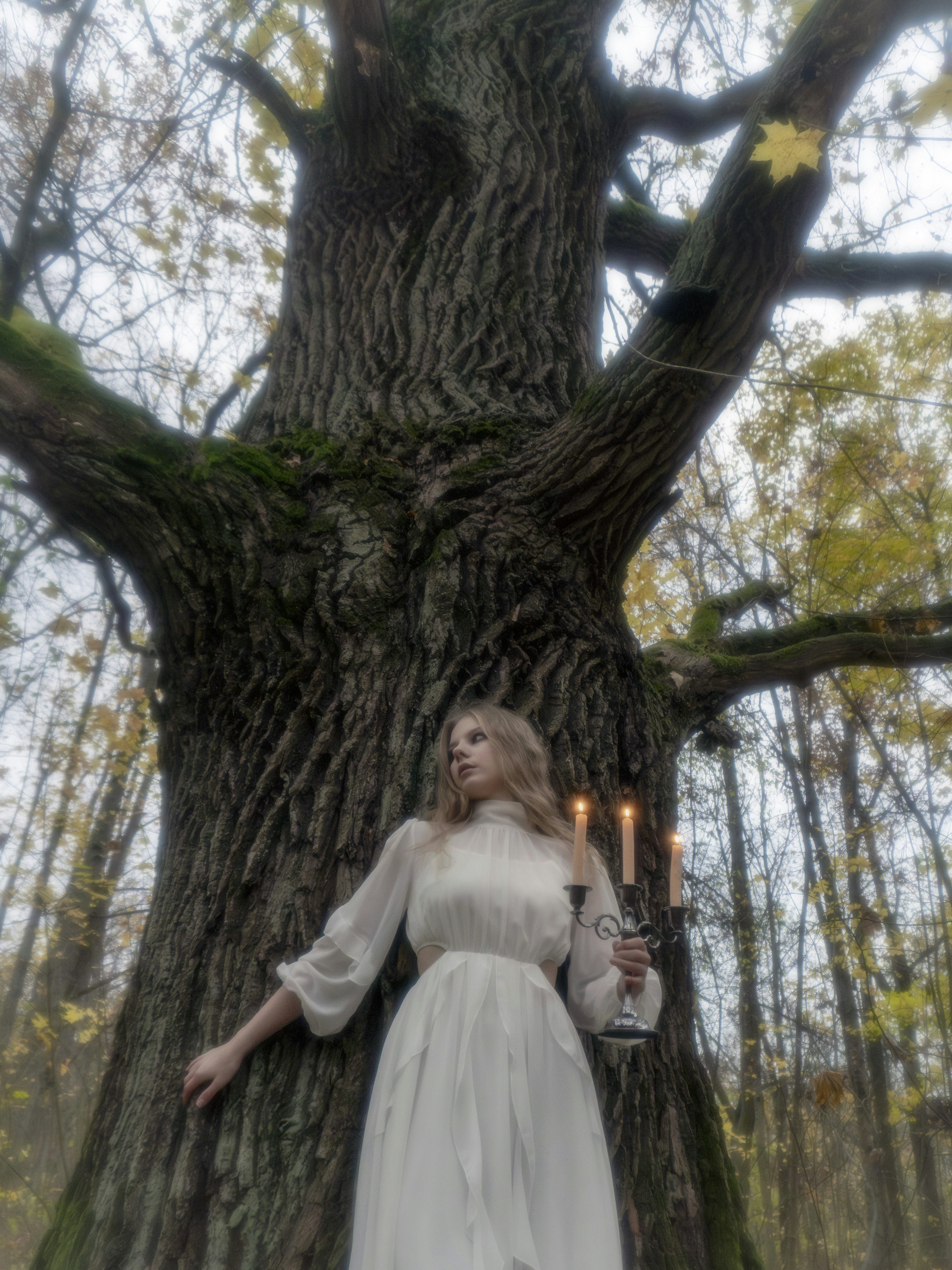 Whispering Forests