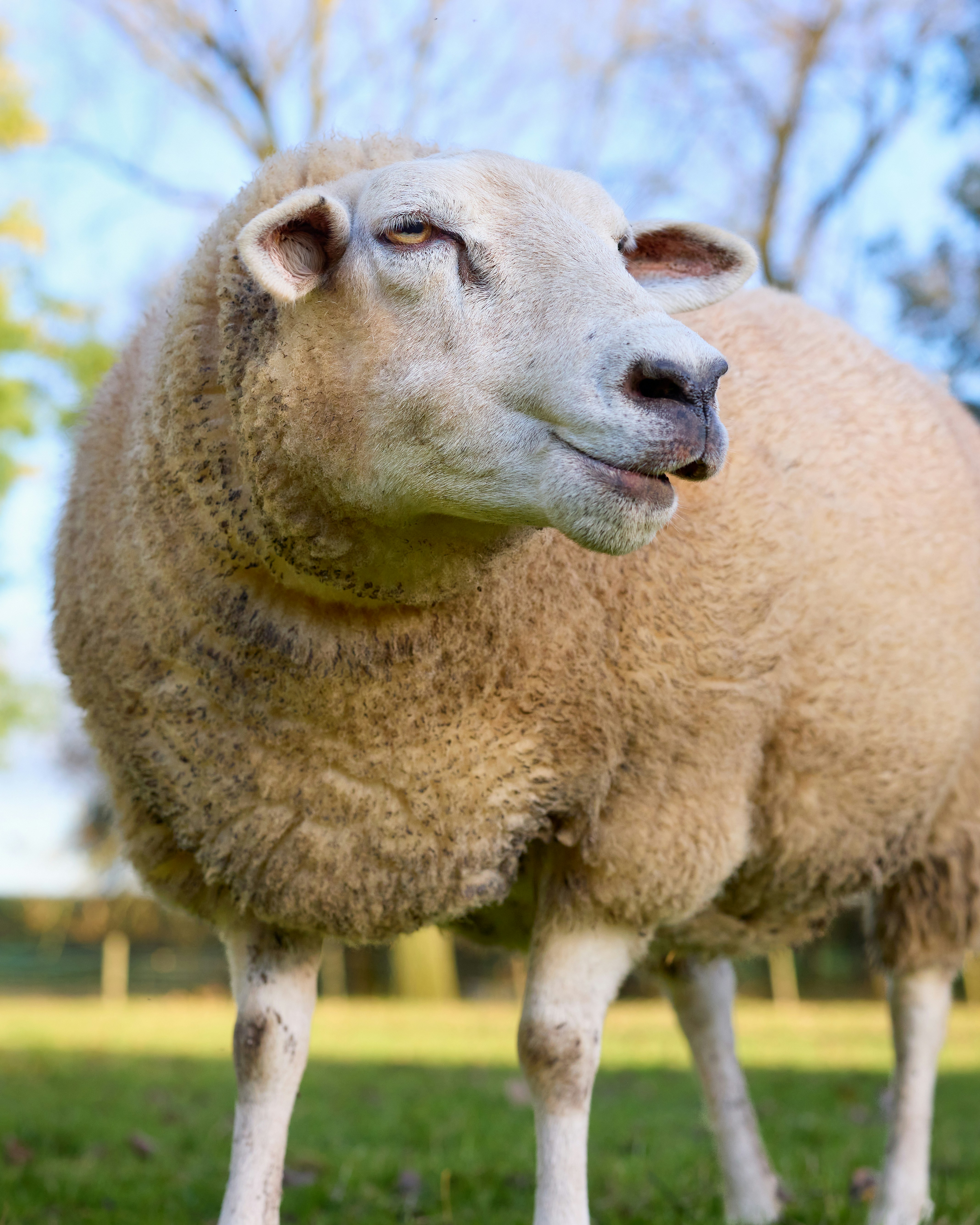 Photo by erwinbosman