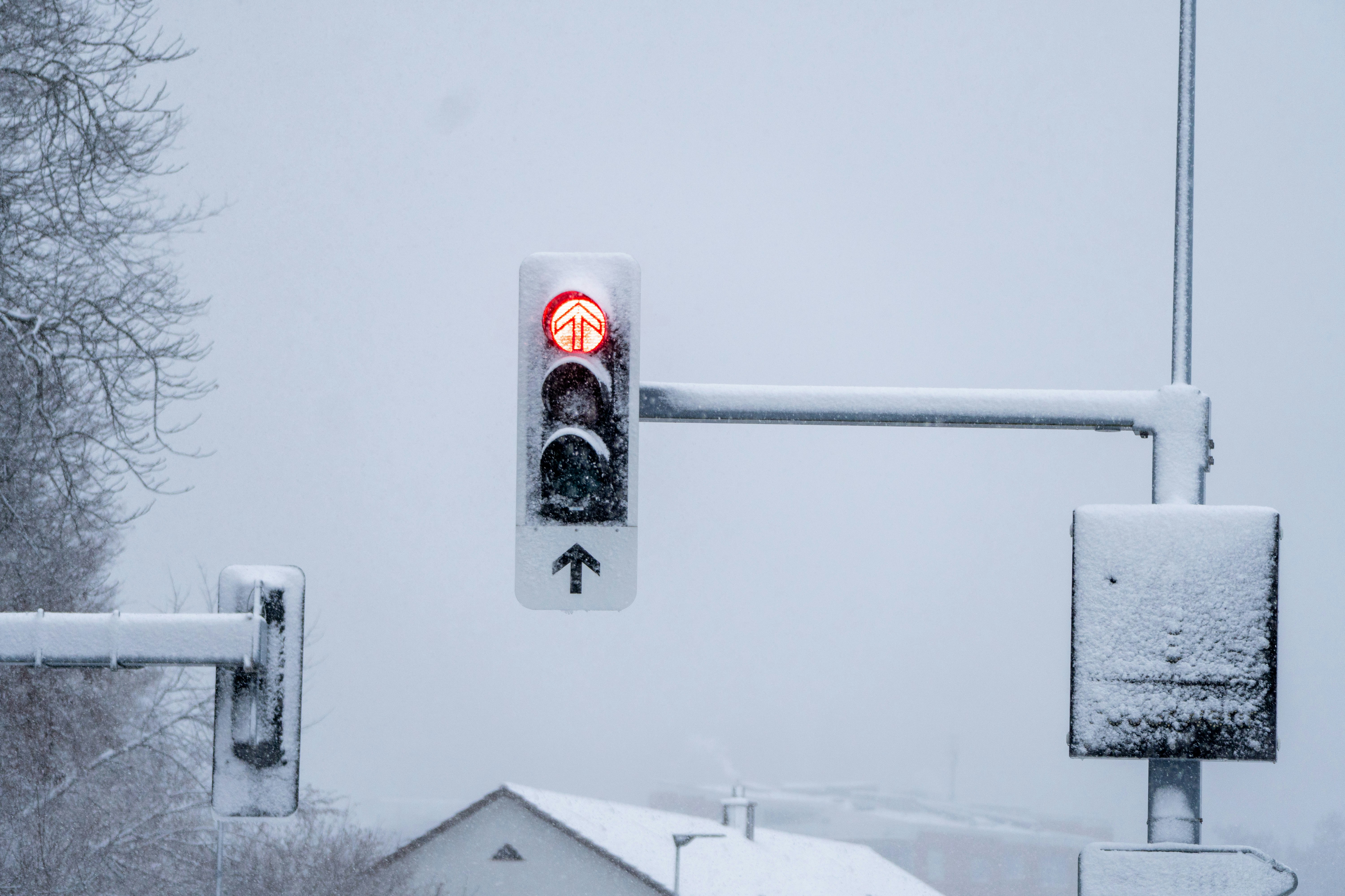 Traffic light shows red in a snowstorm.