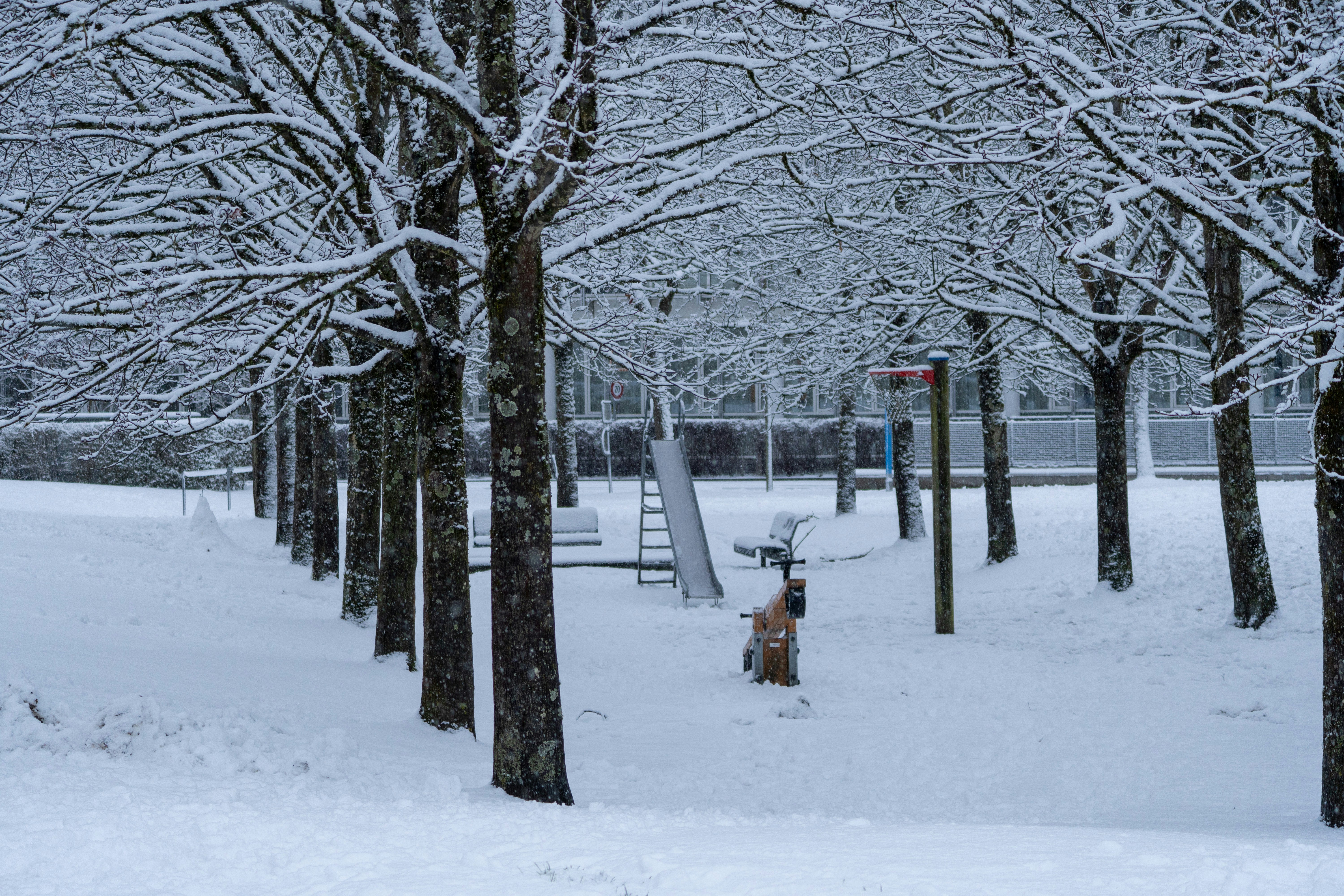 Snow covered trees line a park with a slide.