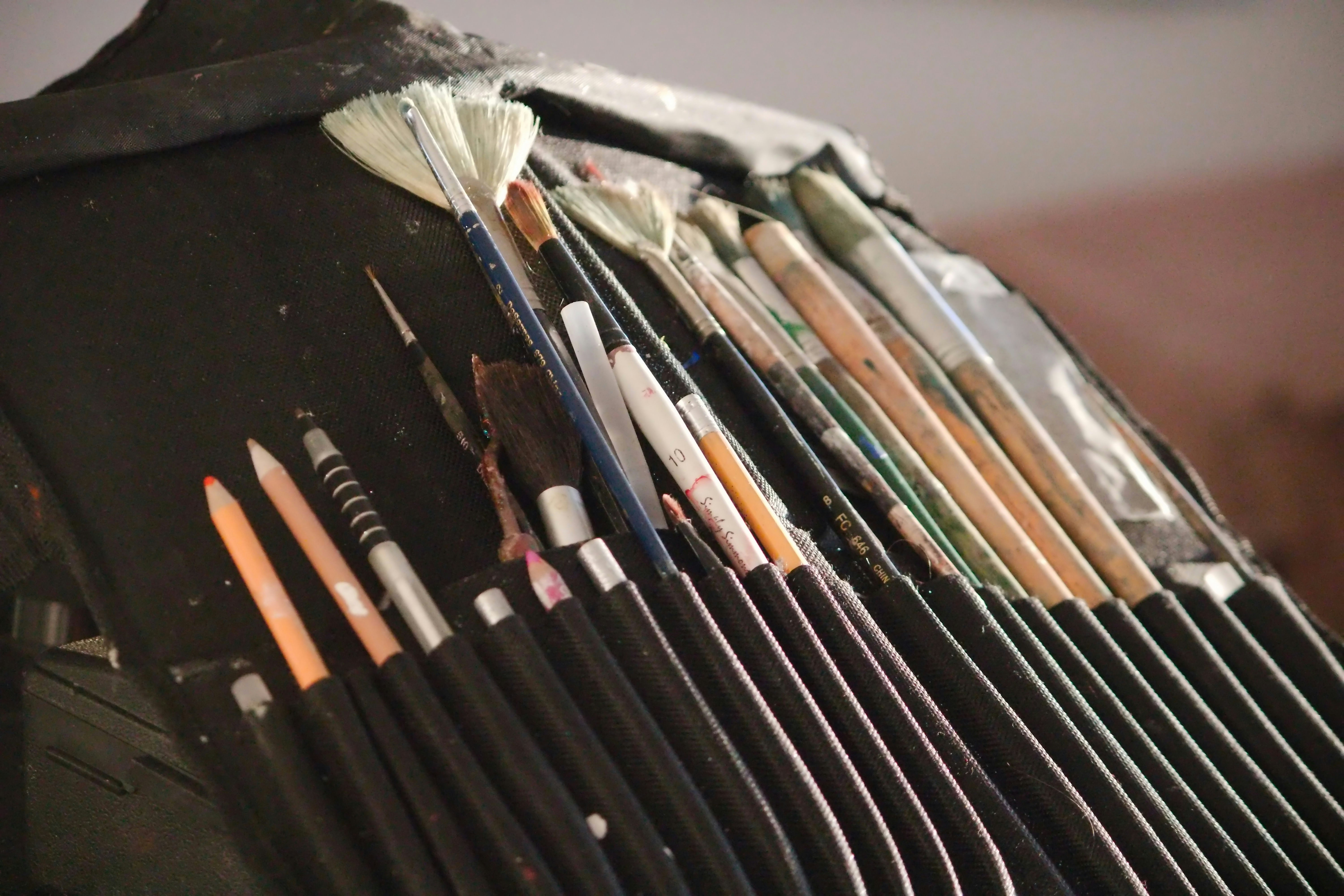 Assortimento di pennelli e matite artistiche in una custodia