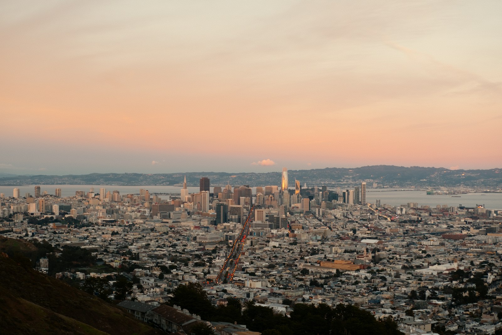 Photo by Ronan Furuta on Unsplash