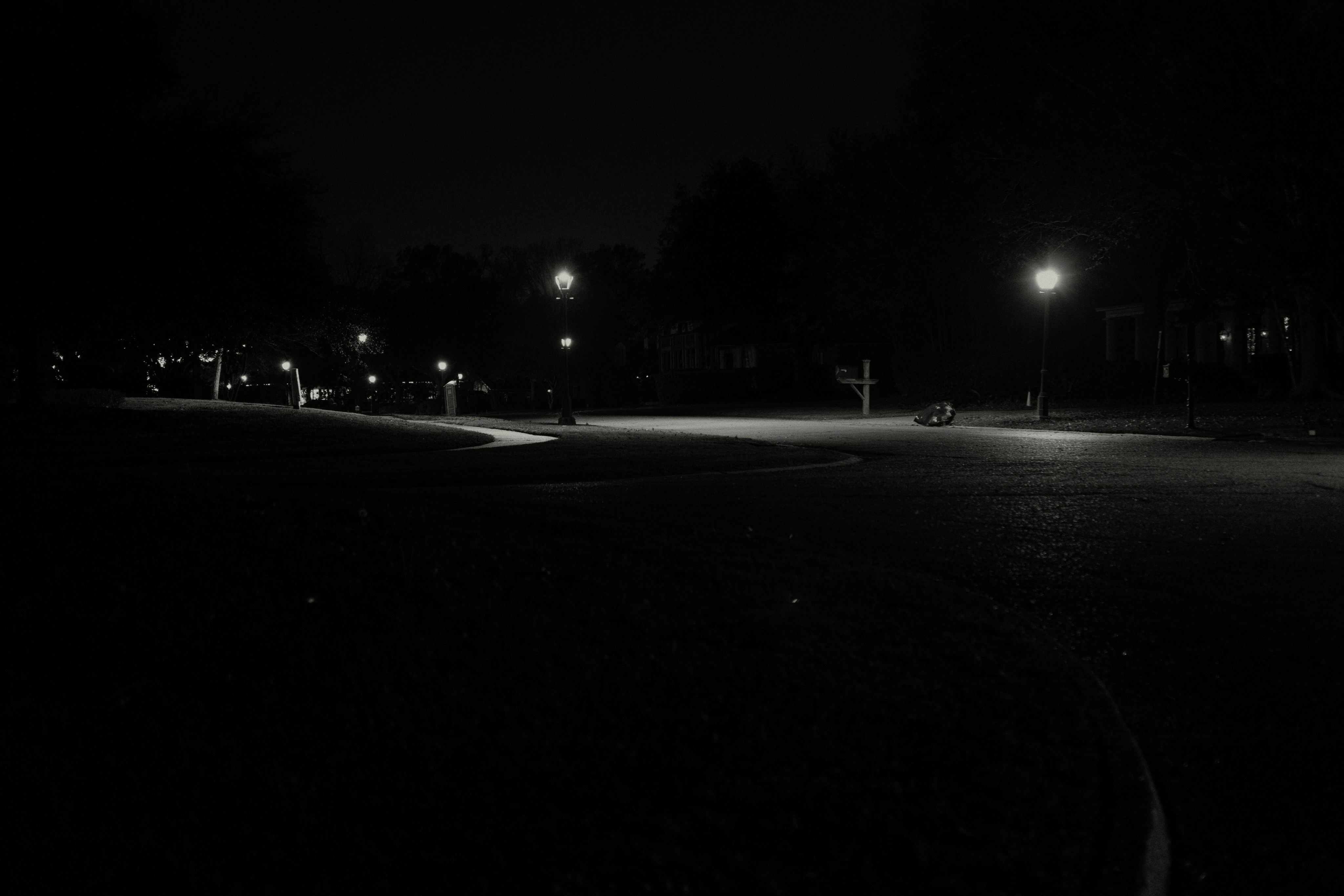 Streetlights illuminate a dark park at night.