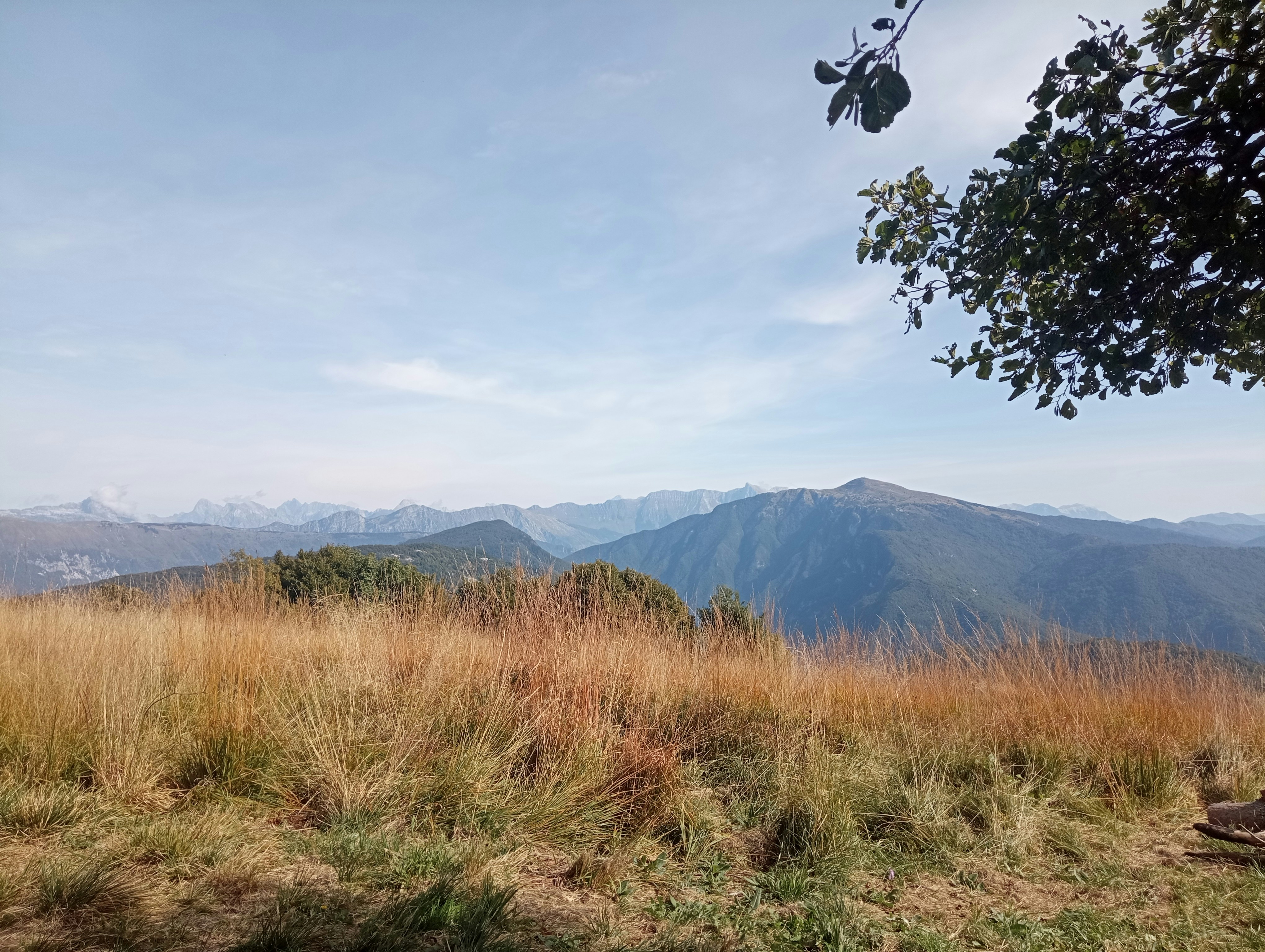 Photo by leonardo502024