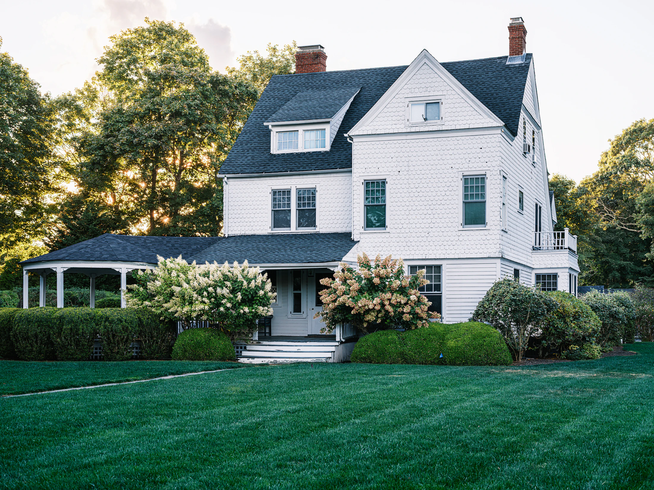 White shingle house with hydrangeas