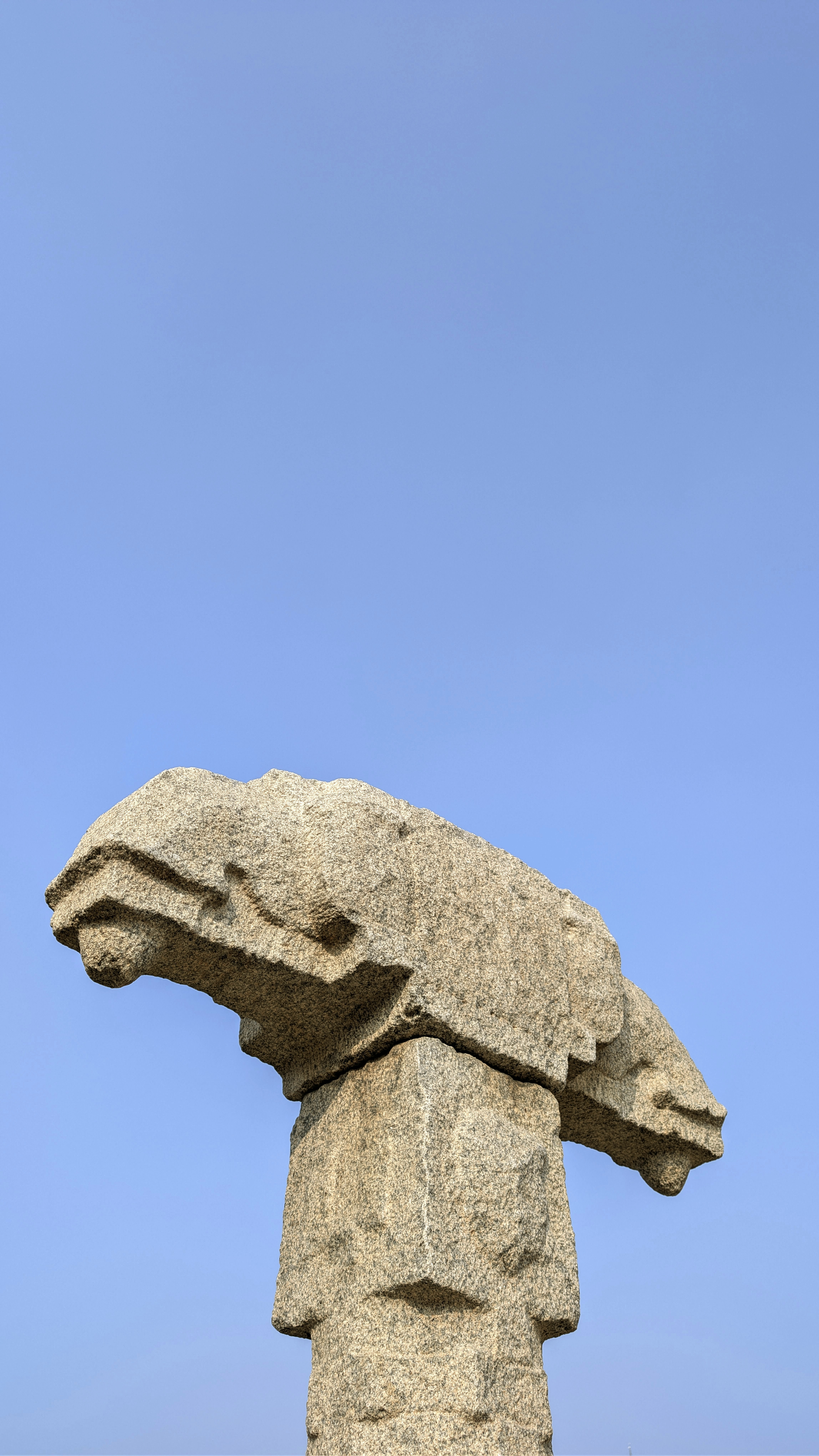 Photo by vinay_gujar