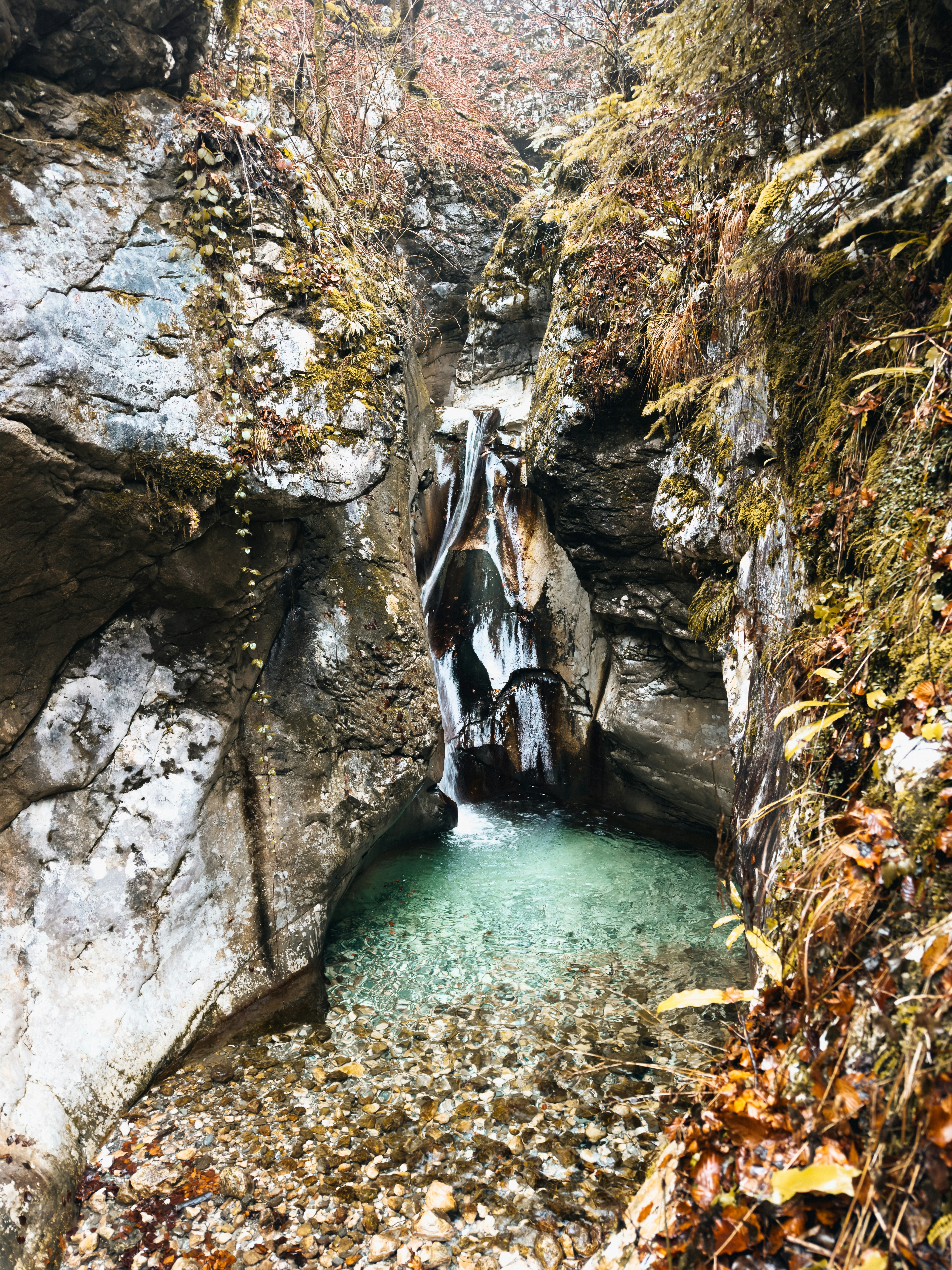 A small waterfall cascades into a clear pool.