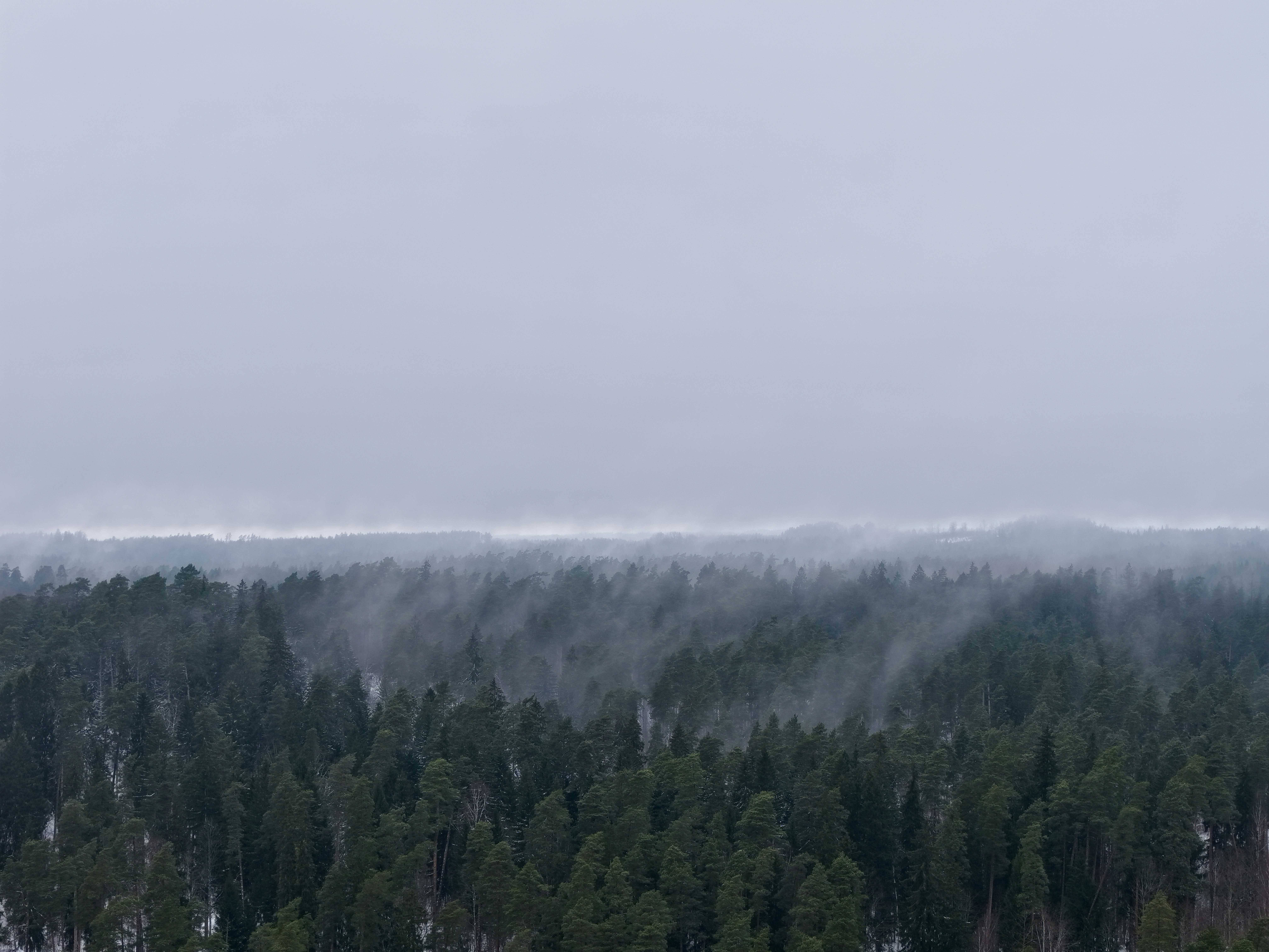 Photo by sandiskovalyovs