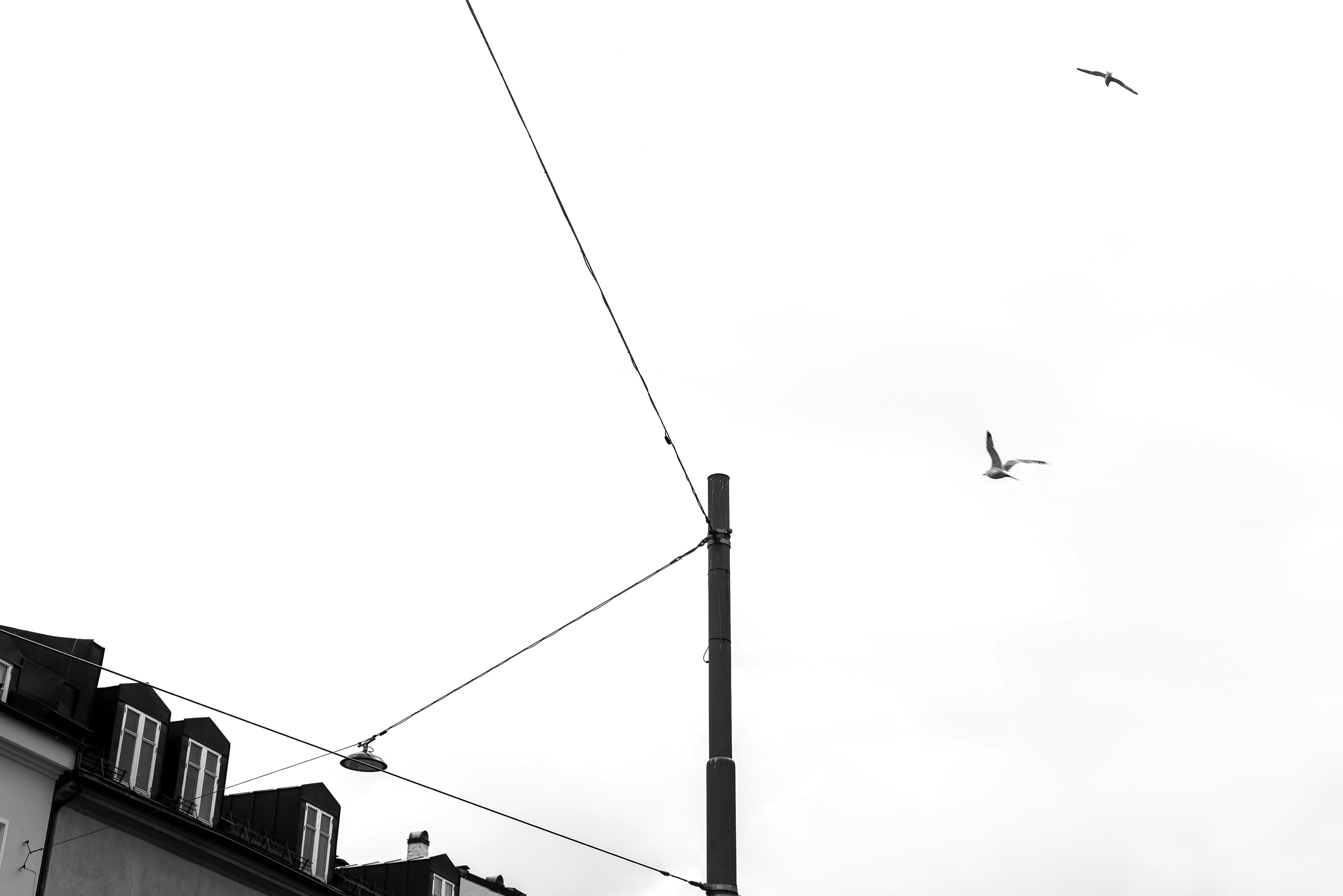 Photo by yaser_rahhal