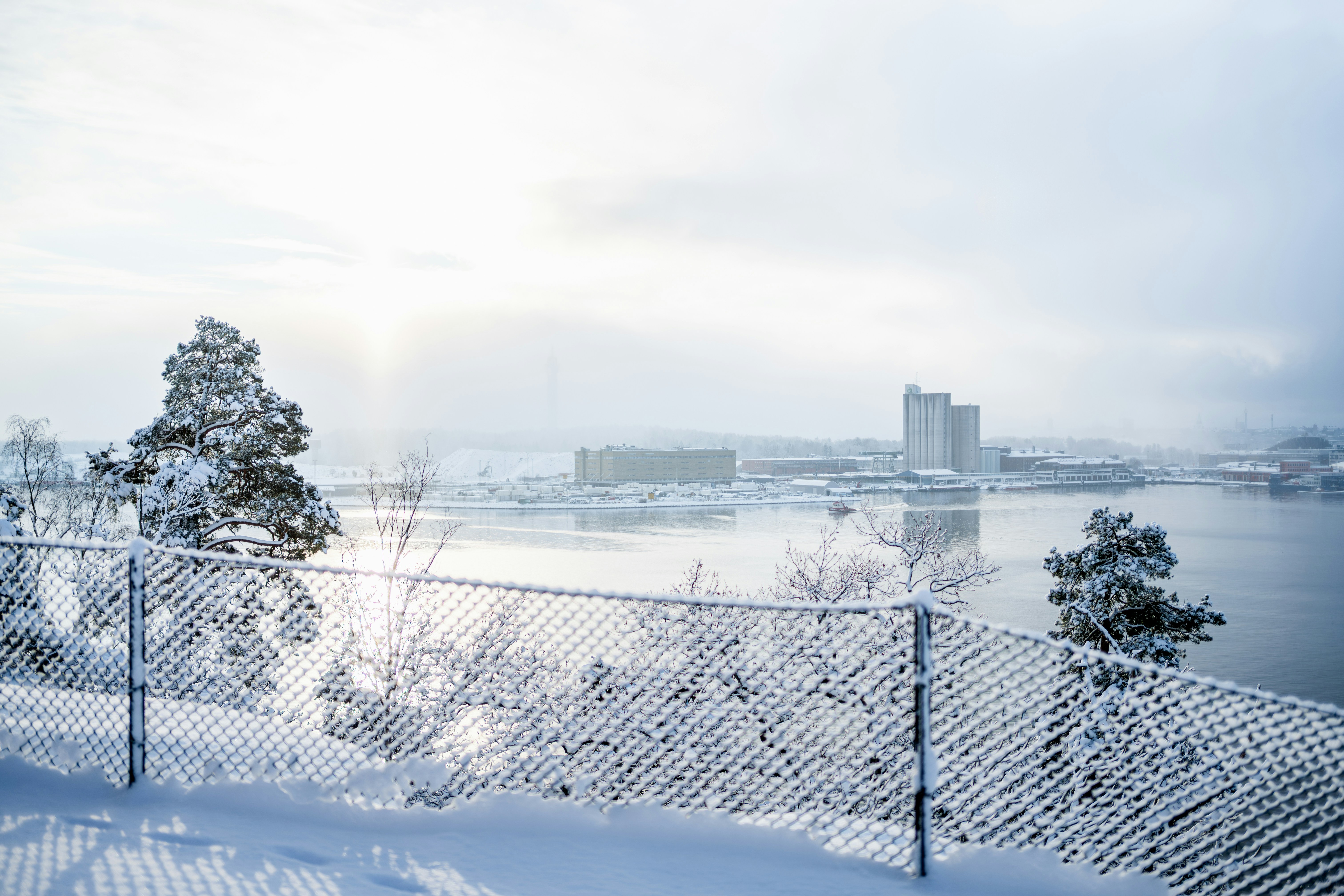 Snowy landscape with a fence and distant buildings.