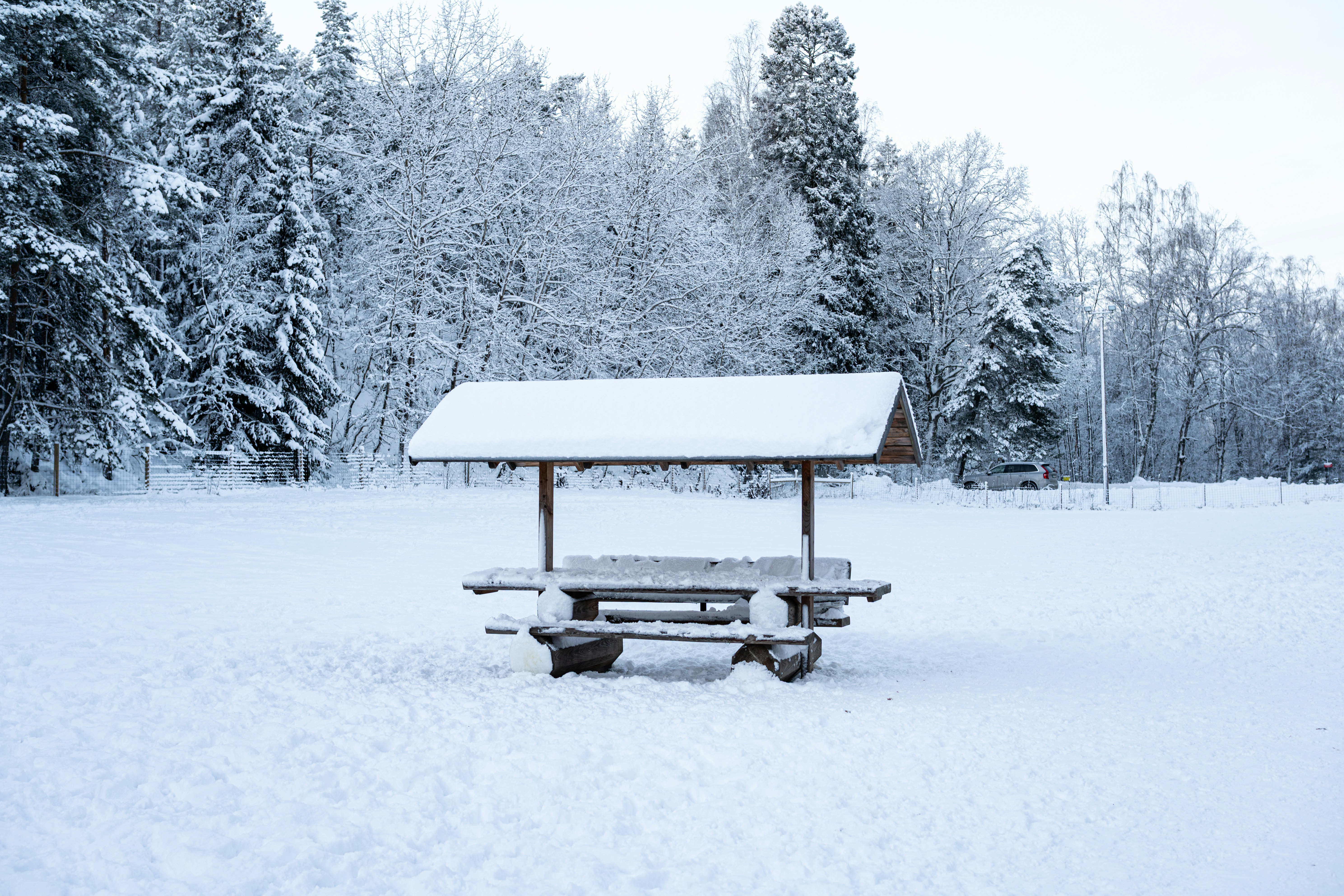 Snow-covered picnic table in a winter forest clearing