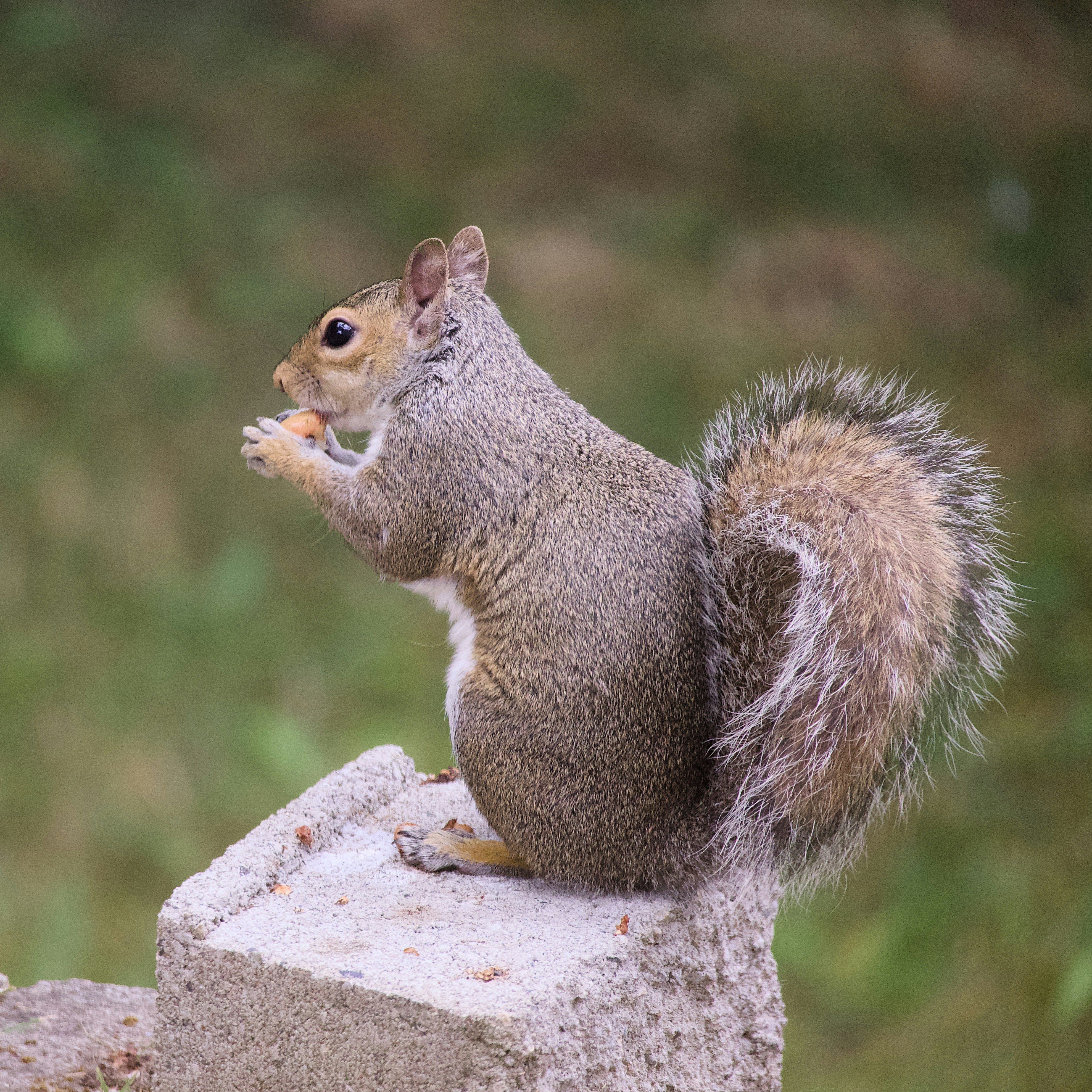 Photo by alexstonepnw