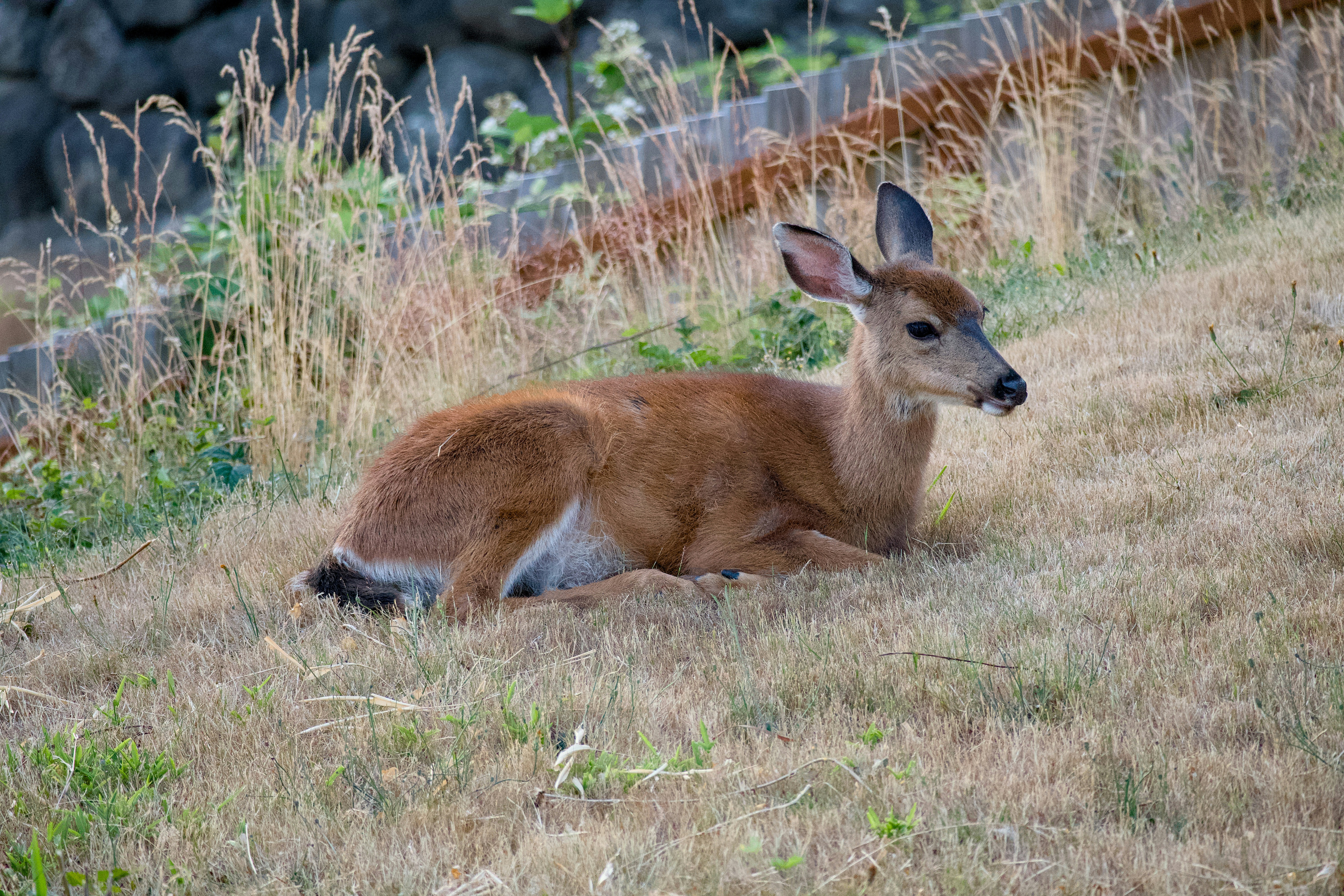 Photo by alexstonepnw