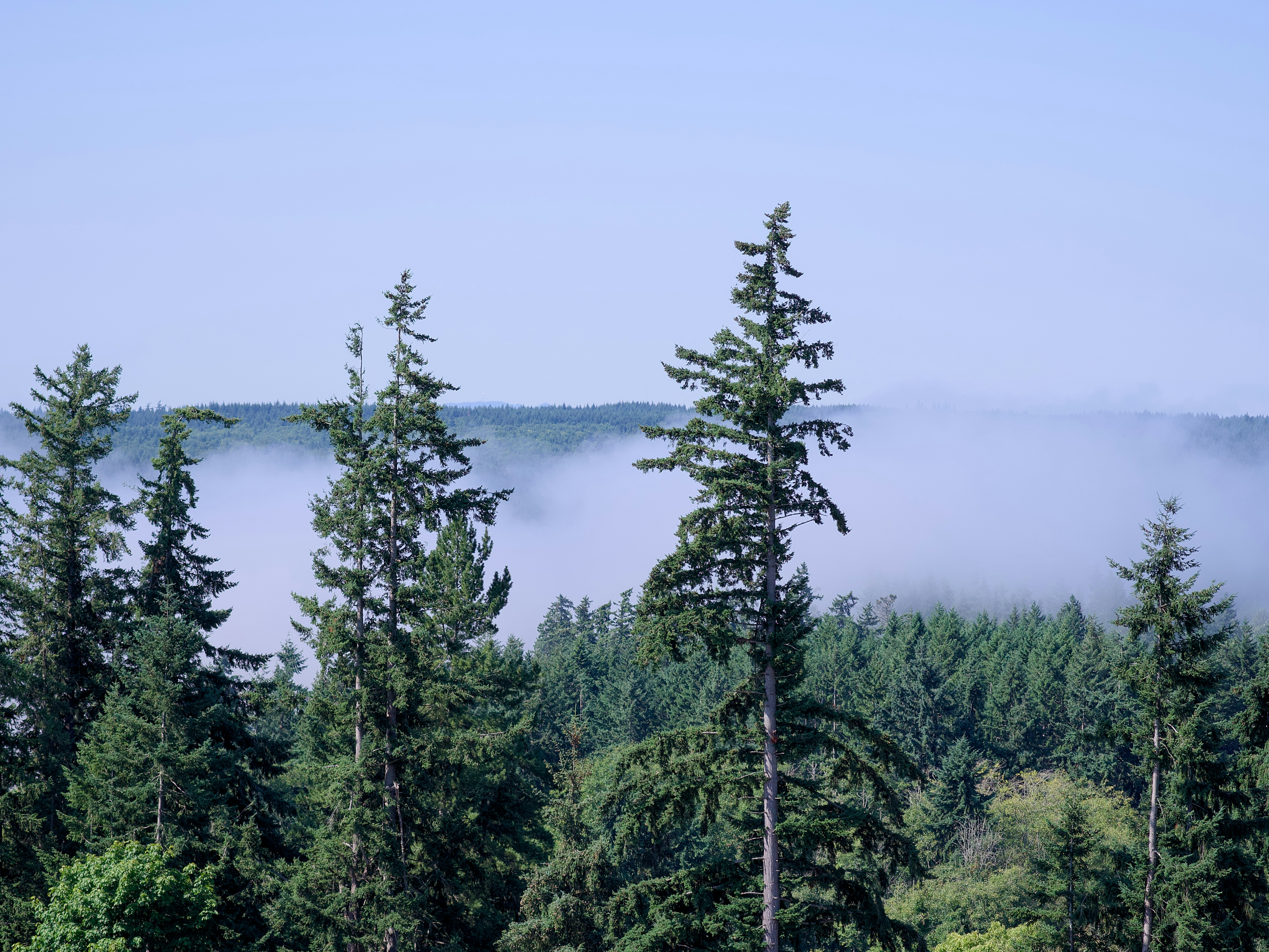 Photo by alexstonepnw