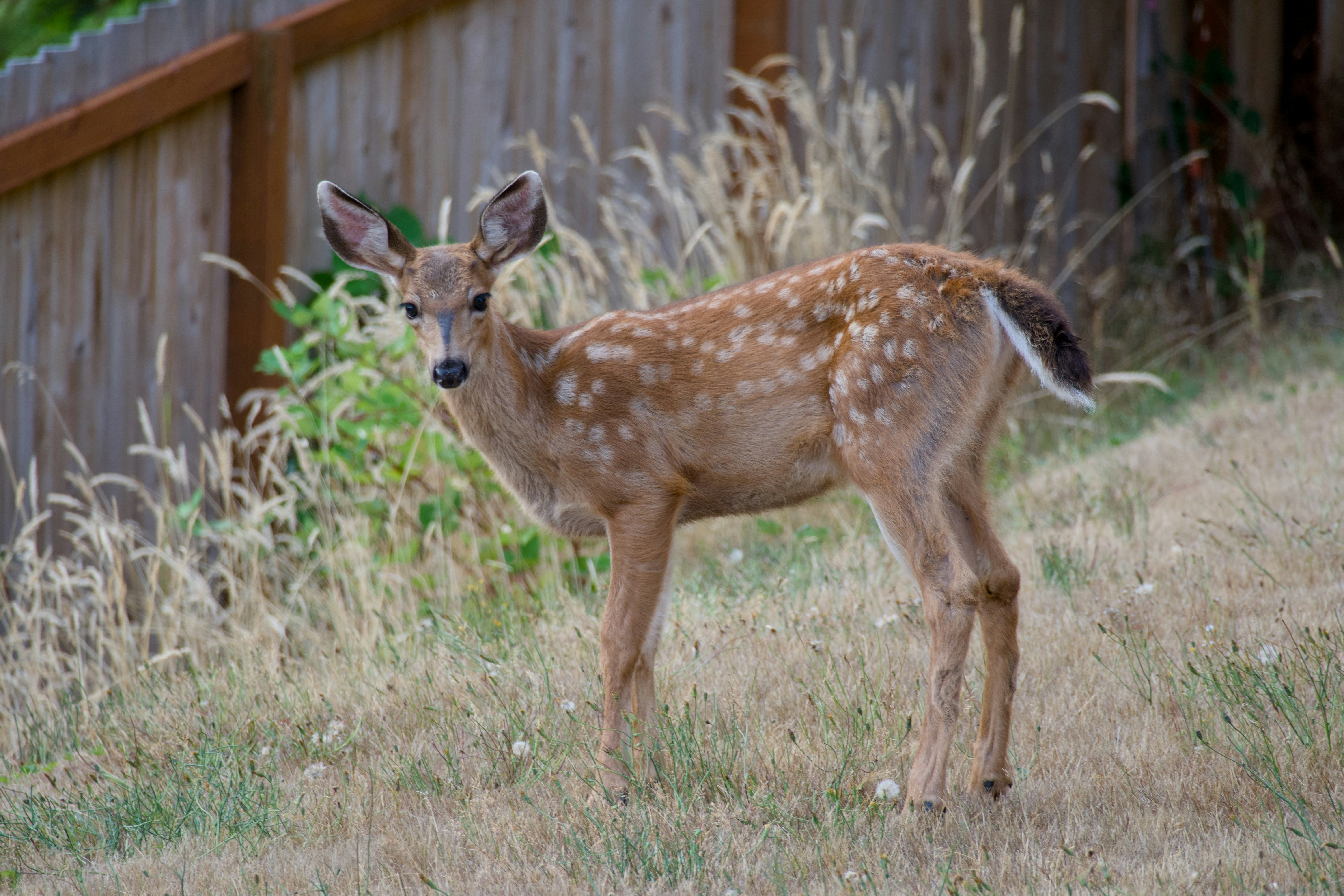 Photo by alexstonepnw