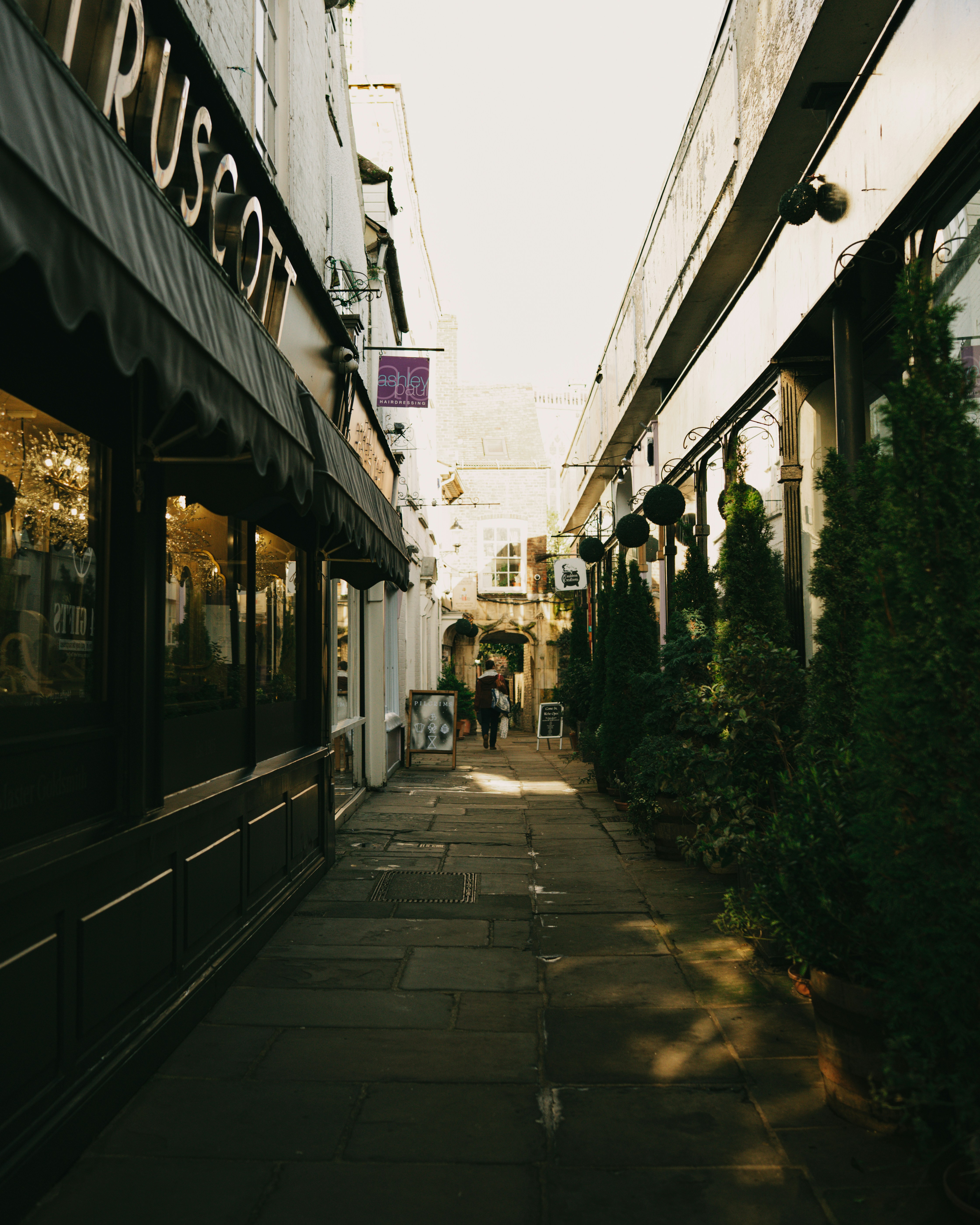 Narrow street lined with shops and greenery