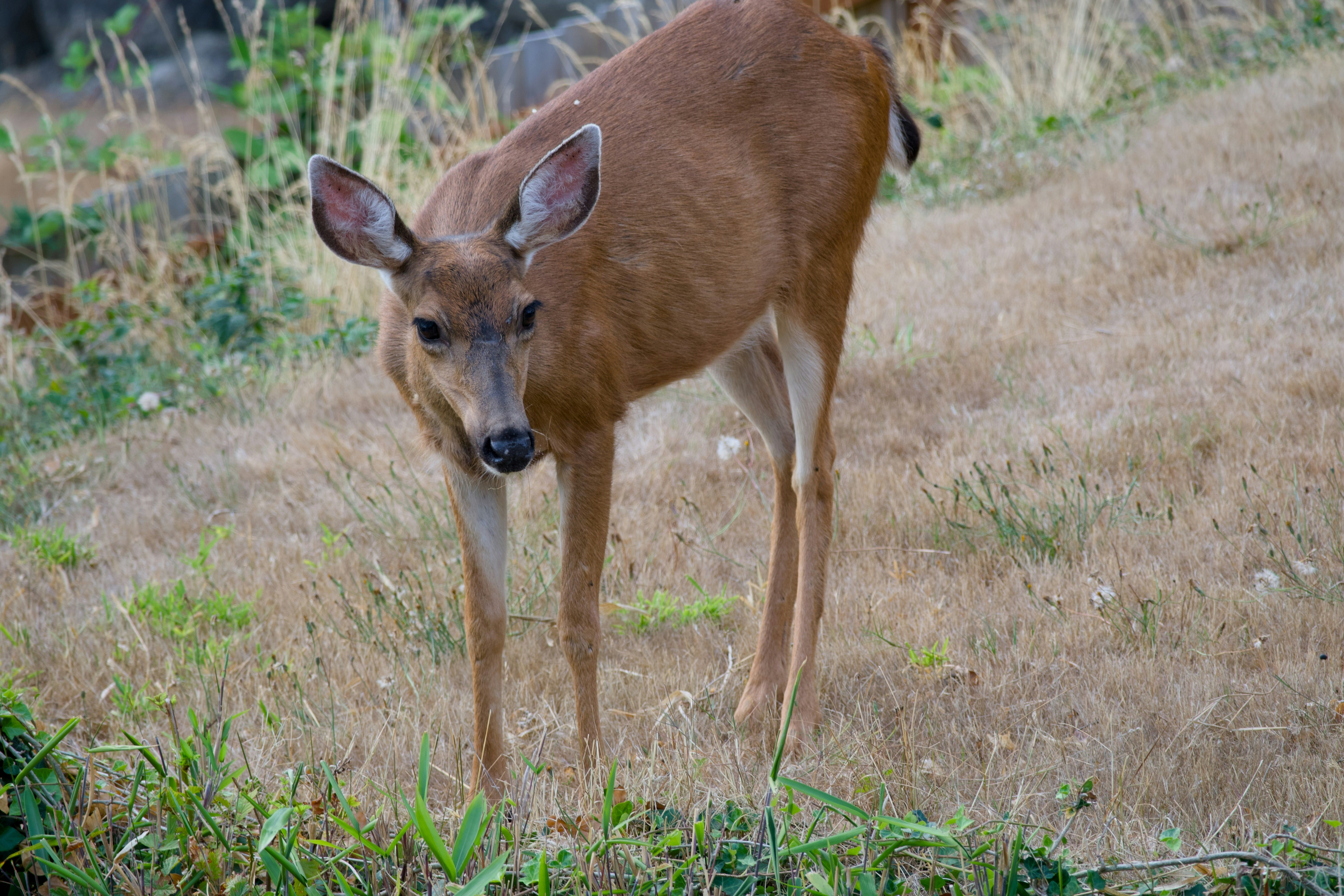 Photo by alexstonepnw