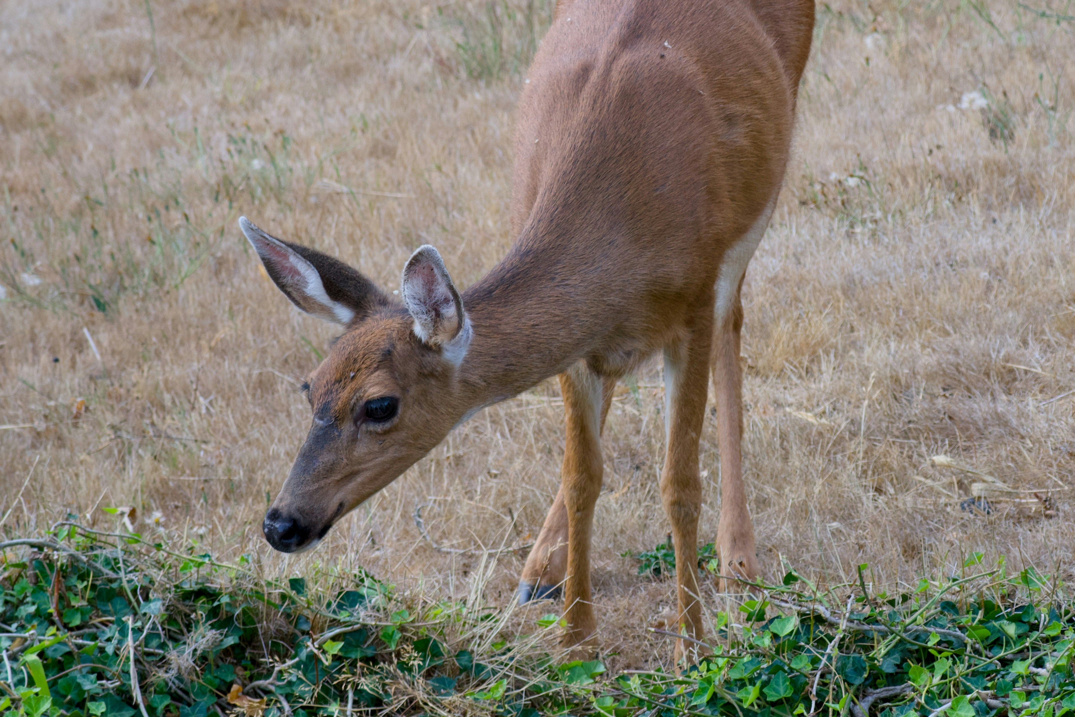 Photo by alexstonepnw