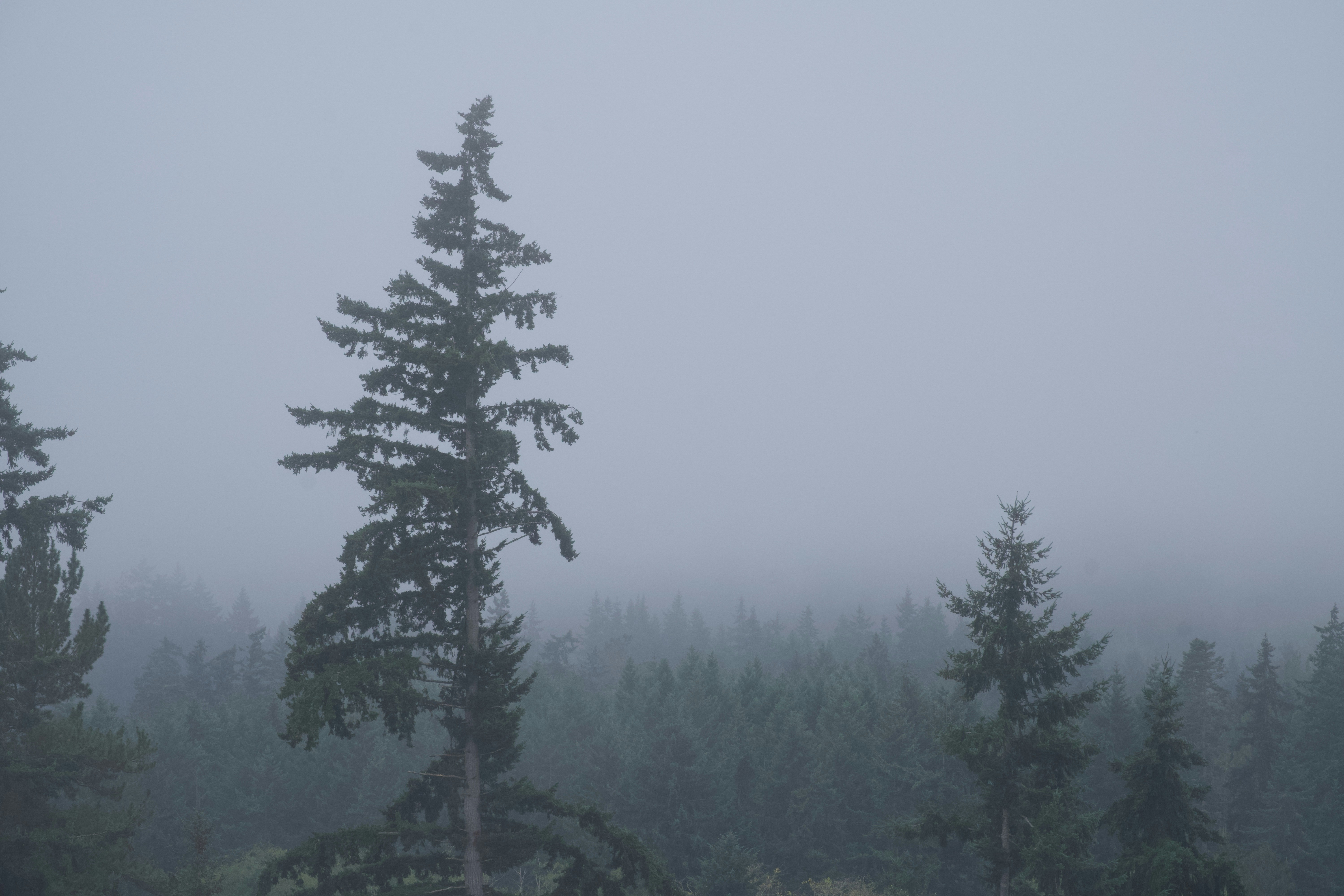 Photo by alexstonepnw