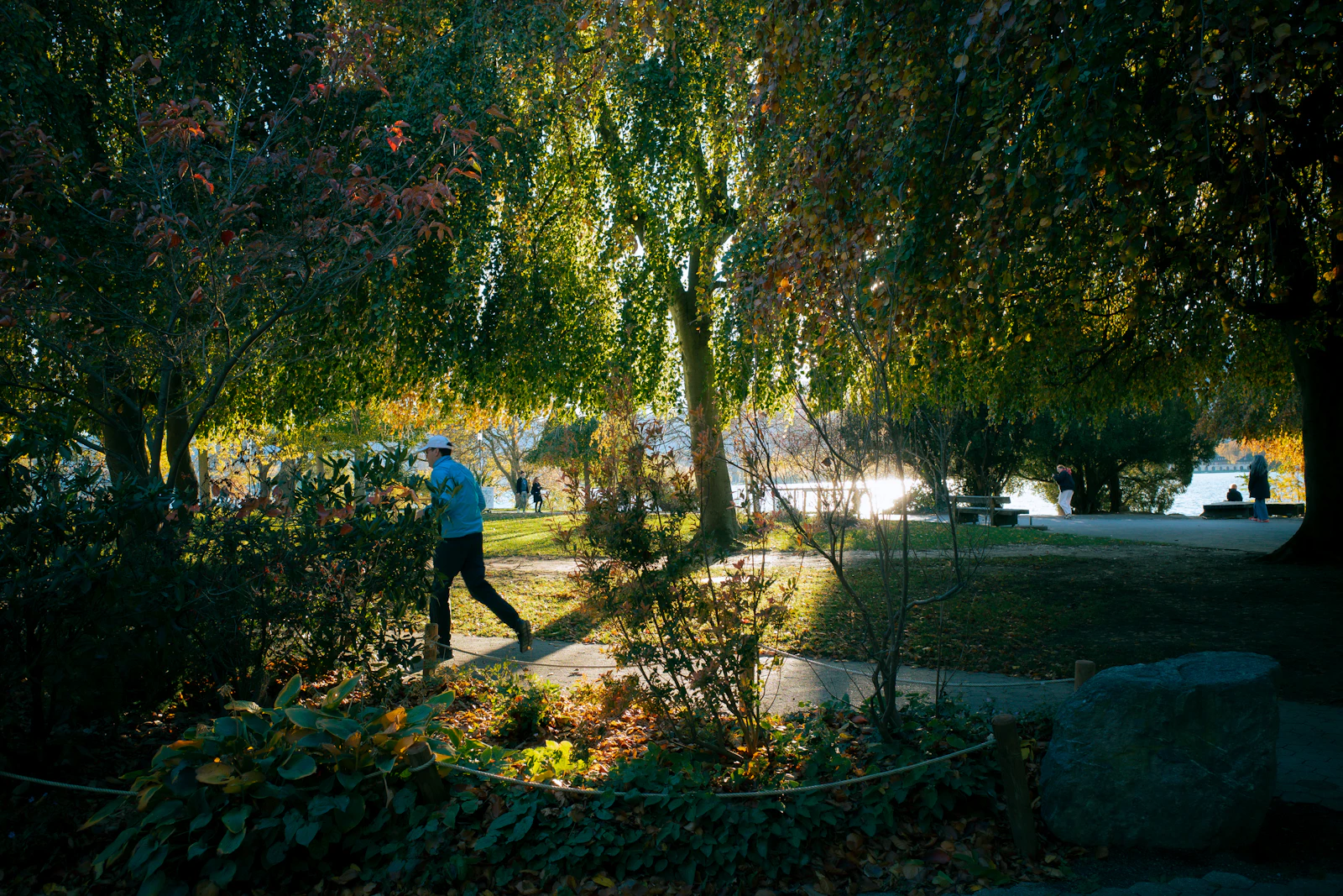 Mann bei einem Spaziergang im sonnigen Park als Symbol für Erholung und Rauchfreiheit