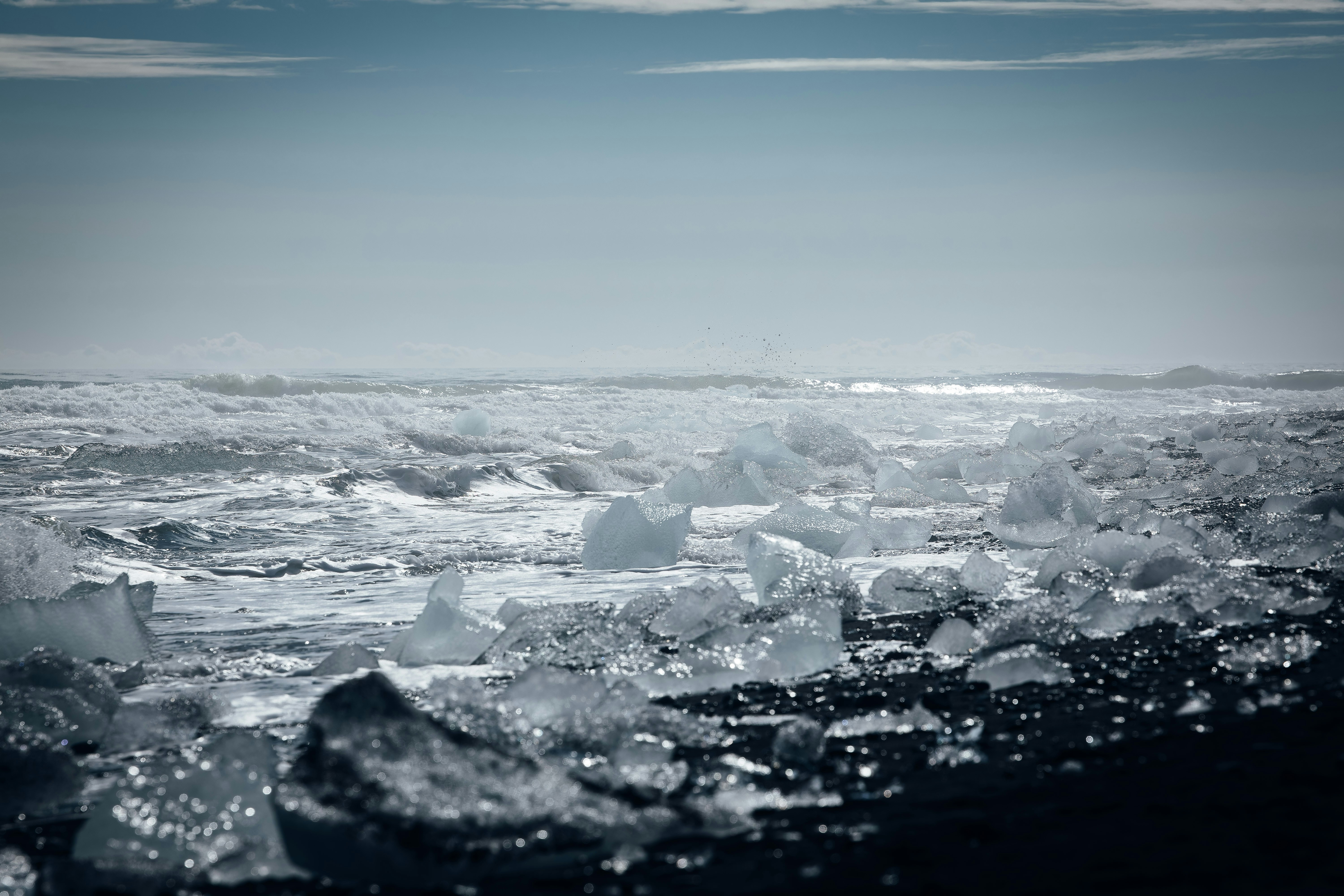 Photo by danny_rienecker