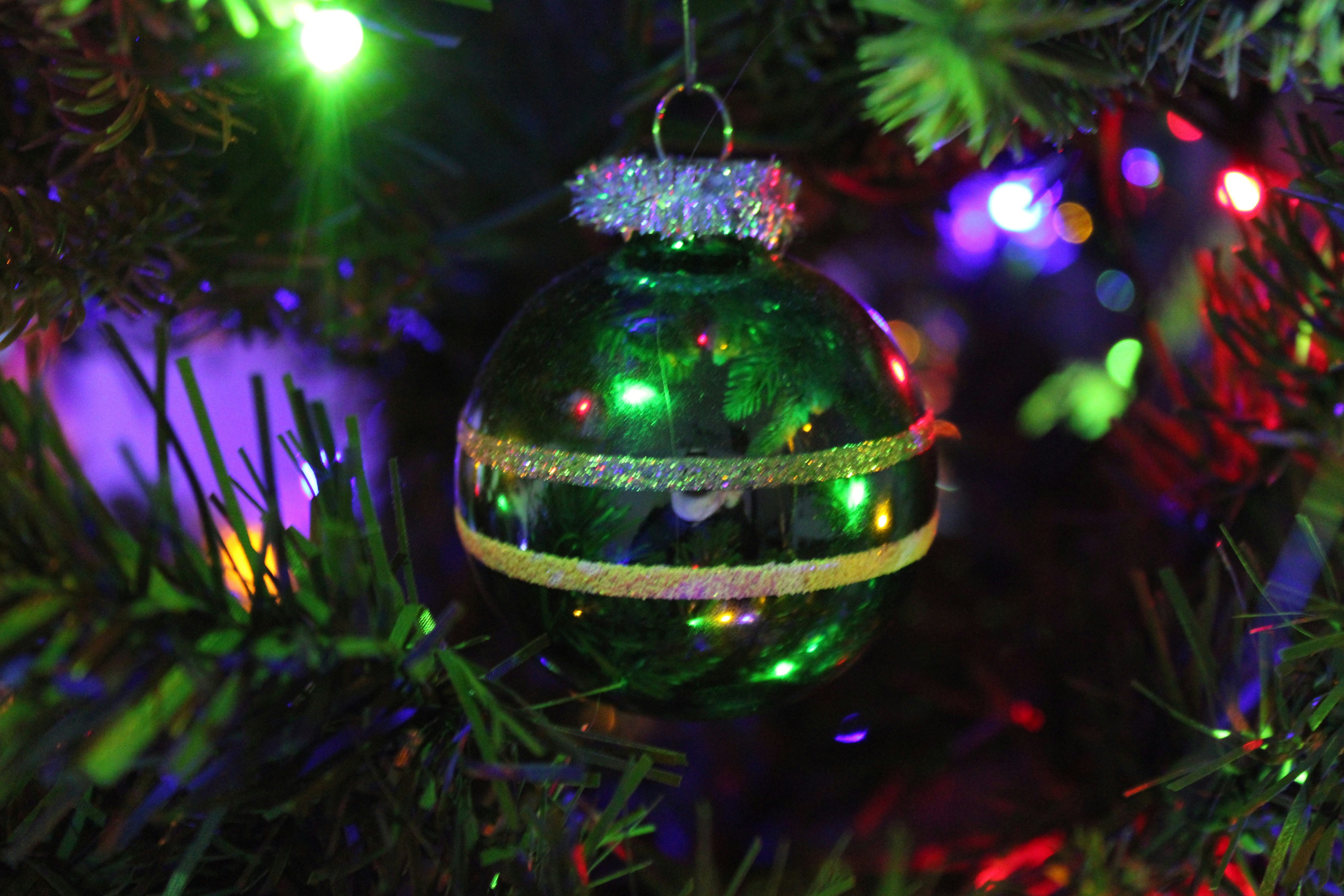 Photo by cheeseisthebest