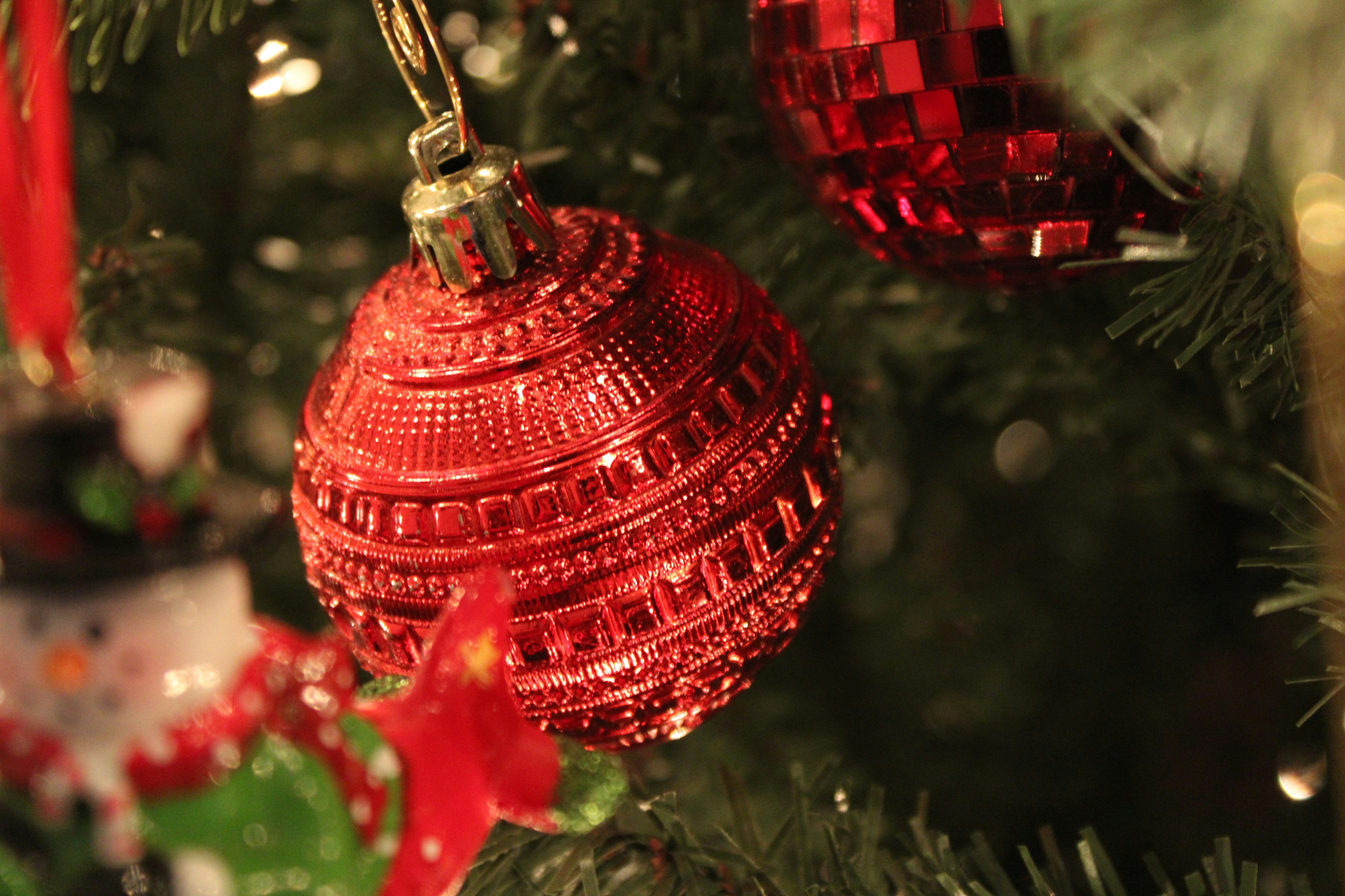 Photo by cheeseisthebest