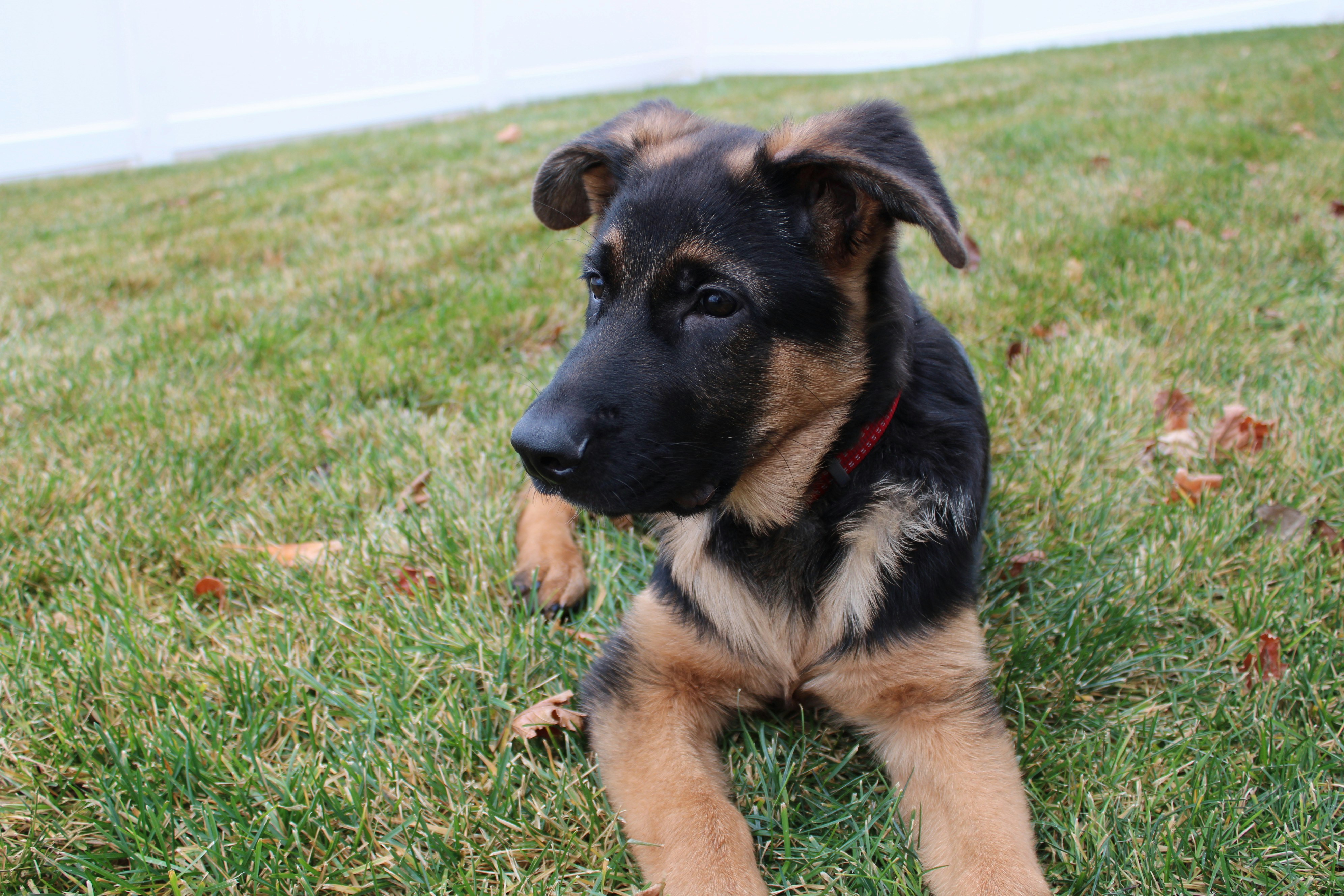 Photo by cheeseisthebest