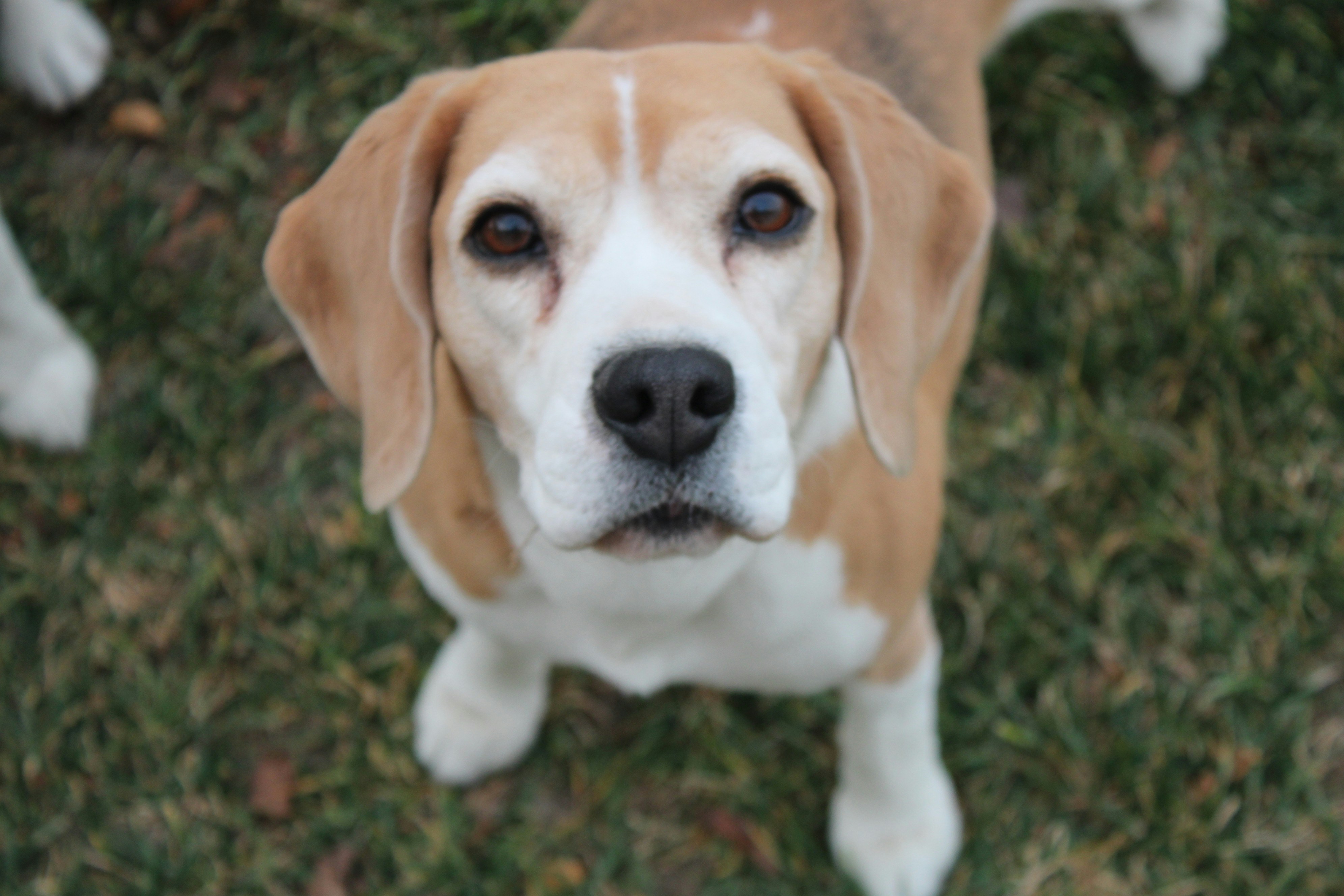 Photo by cheeseisthebest