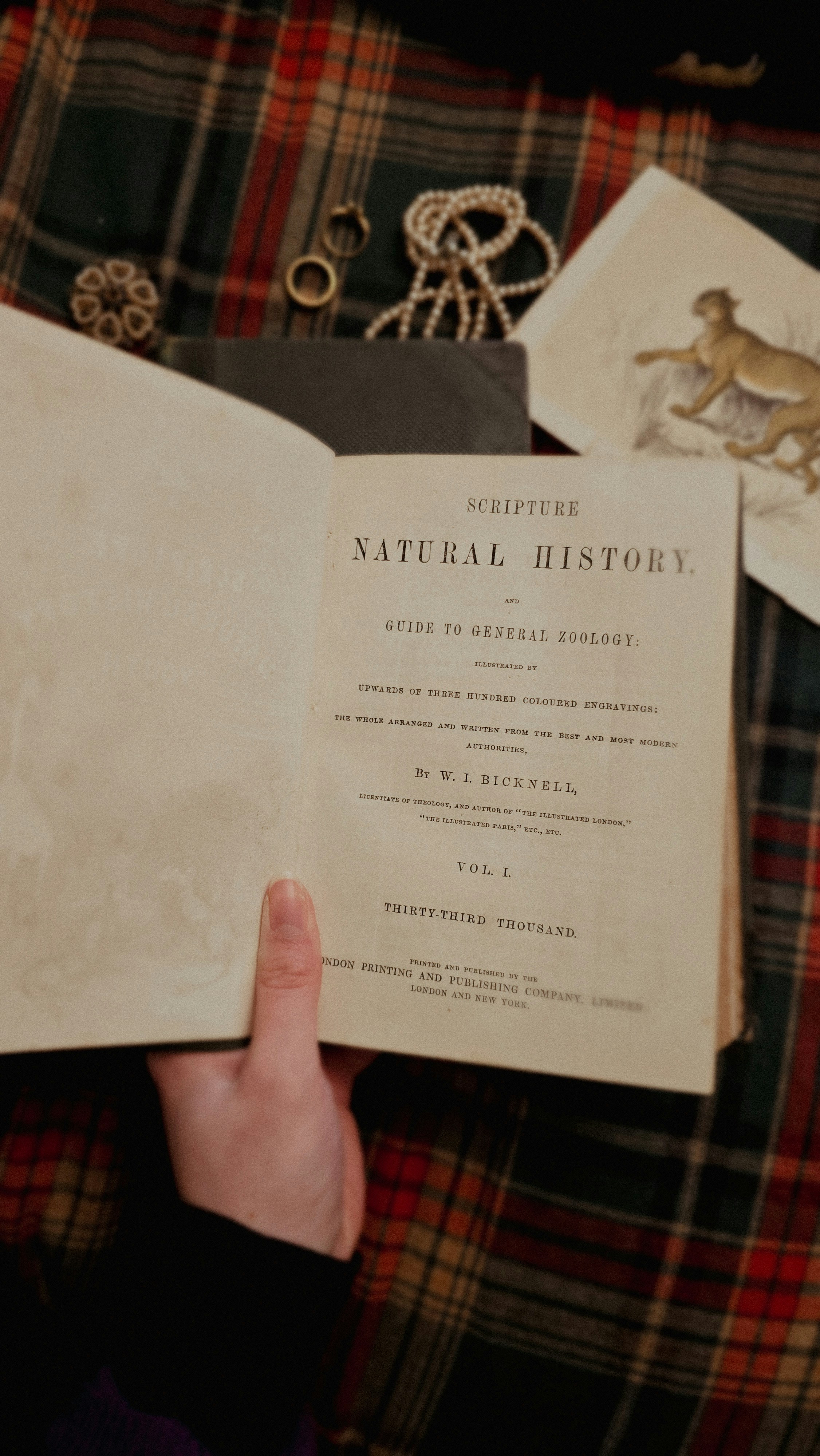 Offenes Buch mit dem Titel "Schrift, Naturgeschichte" auf Tartandecke.