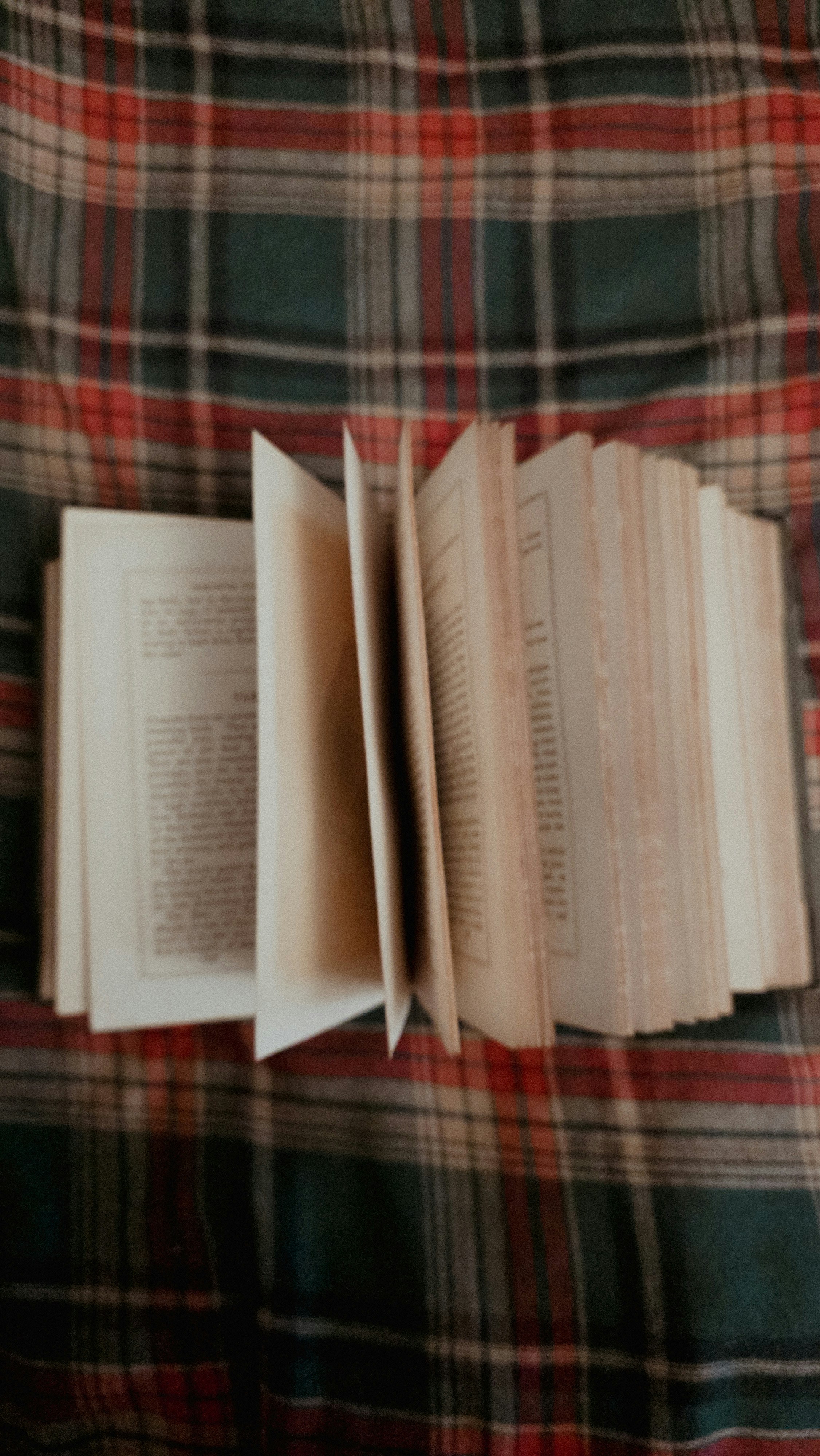 Photo by fern_and_fable