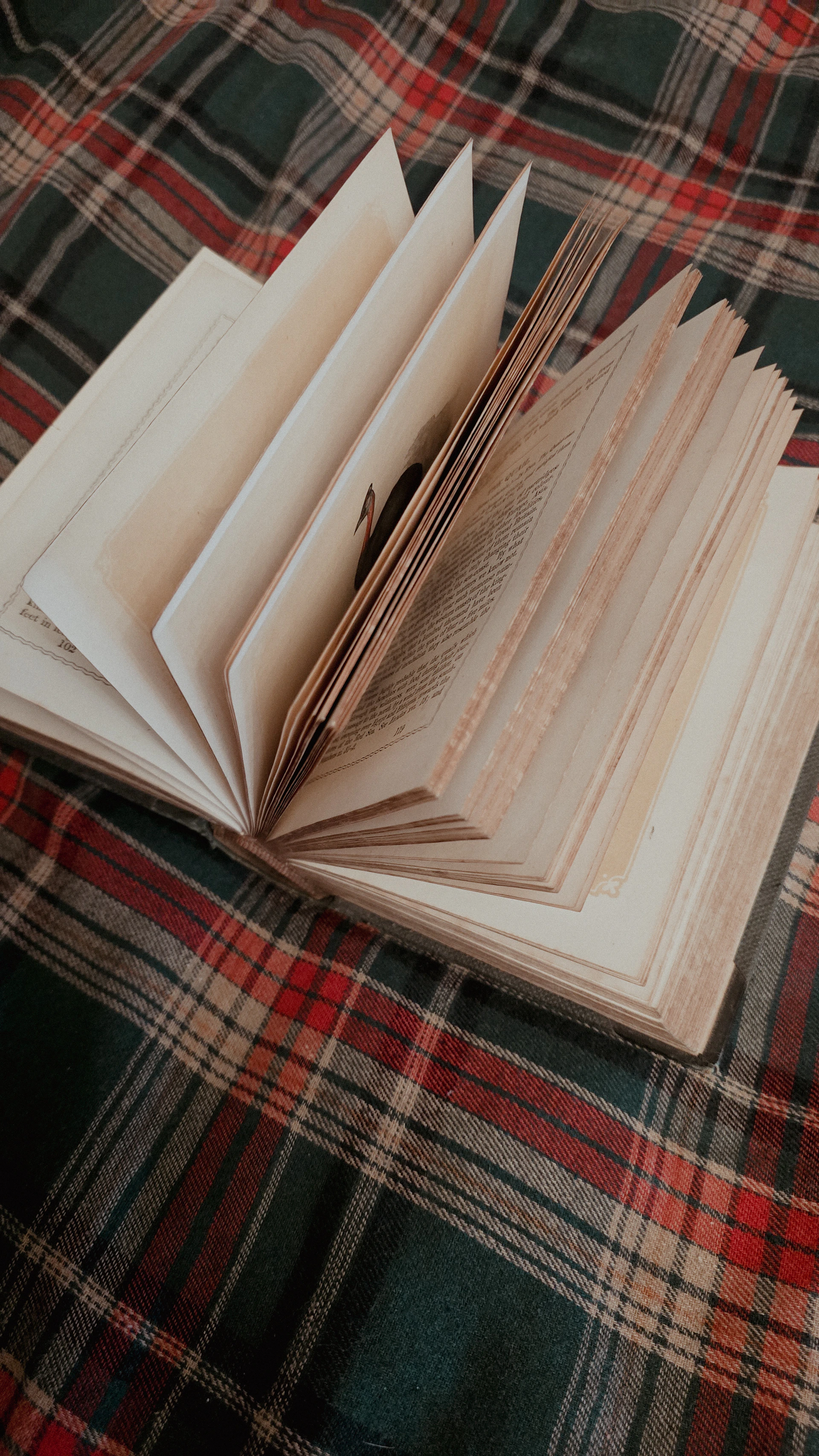 An open book lies on a plaid blanket.
